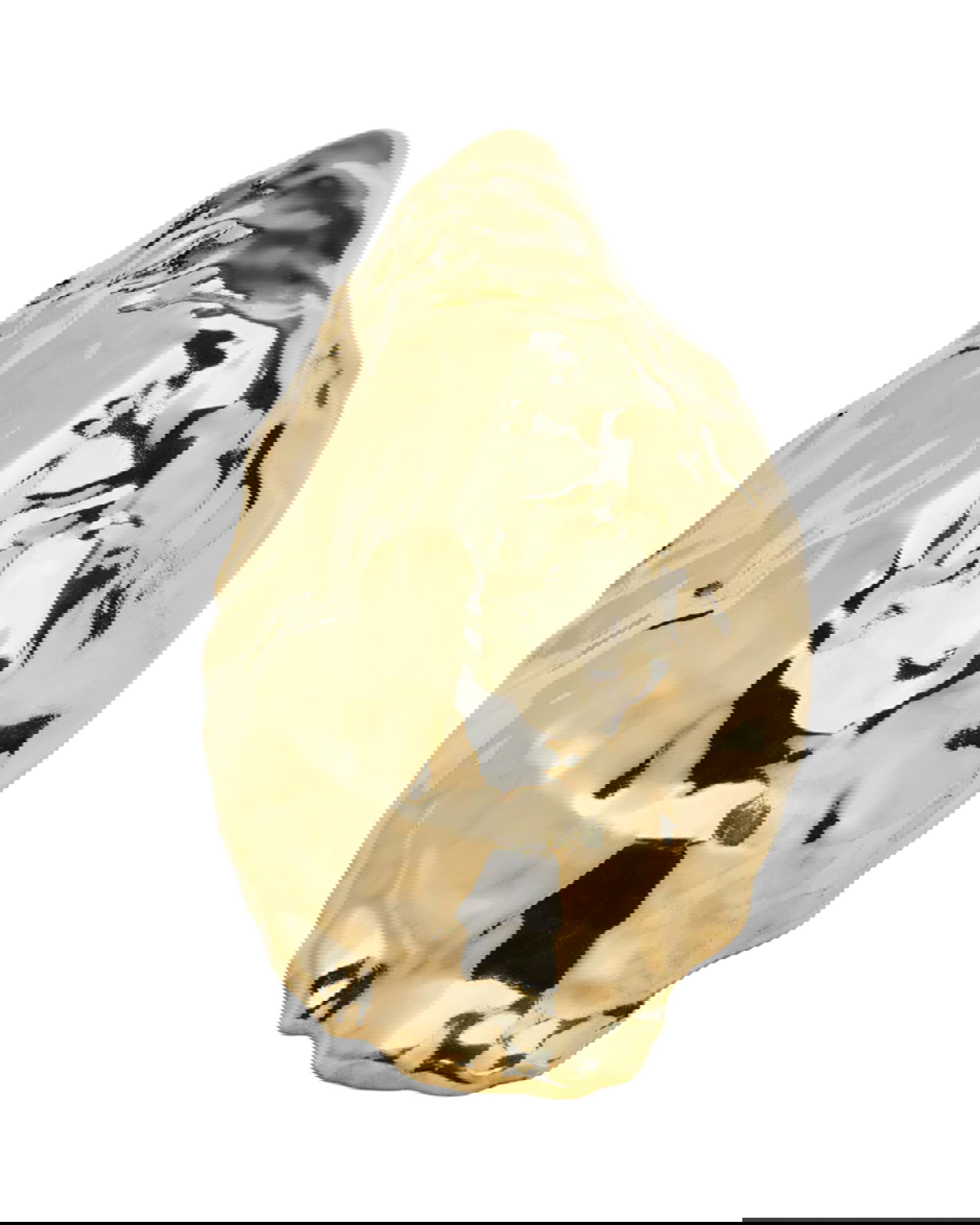 Oyster Bottle Opener Brass