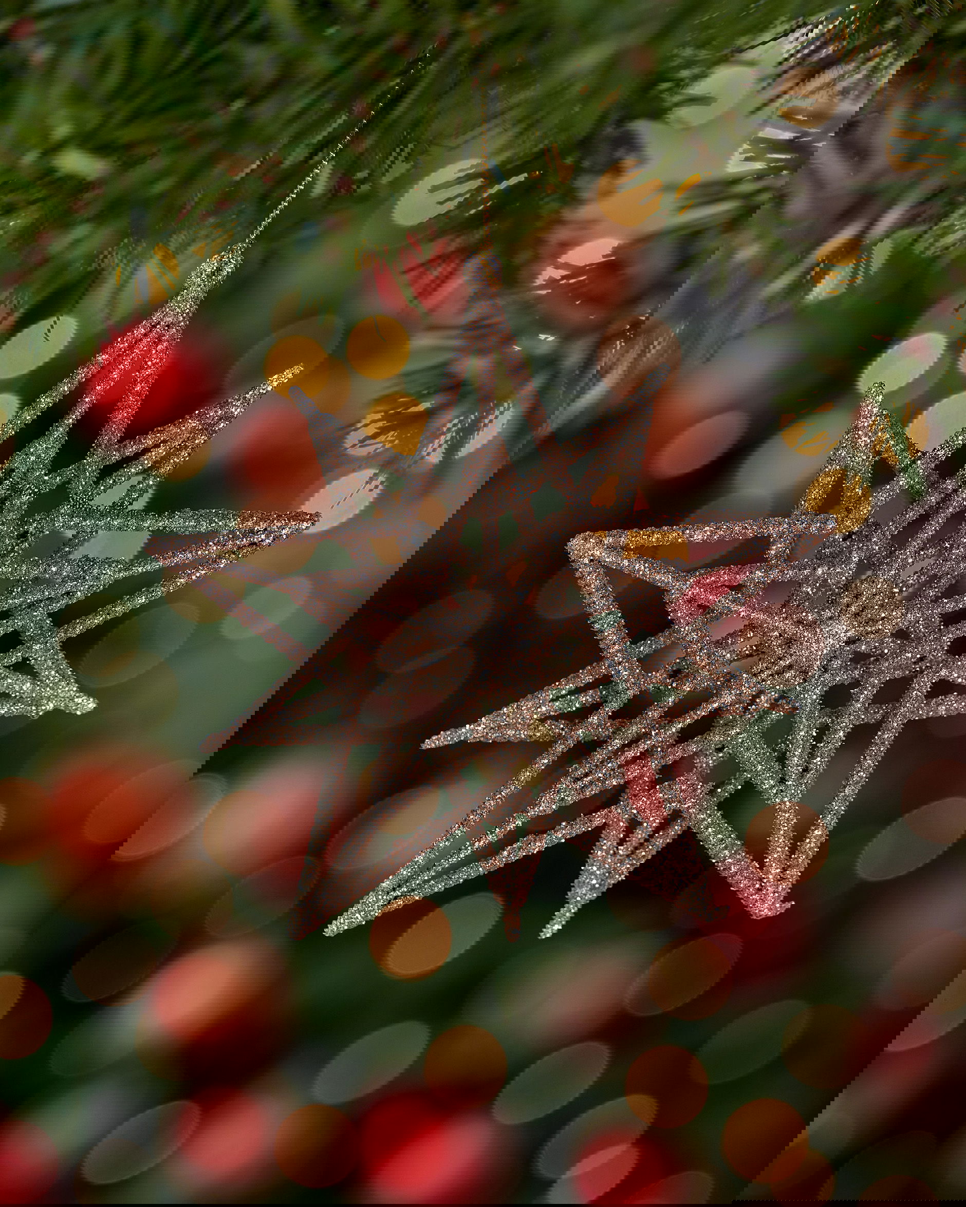 León stjärna julgransdekoration guld