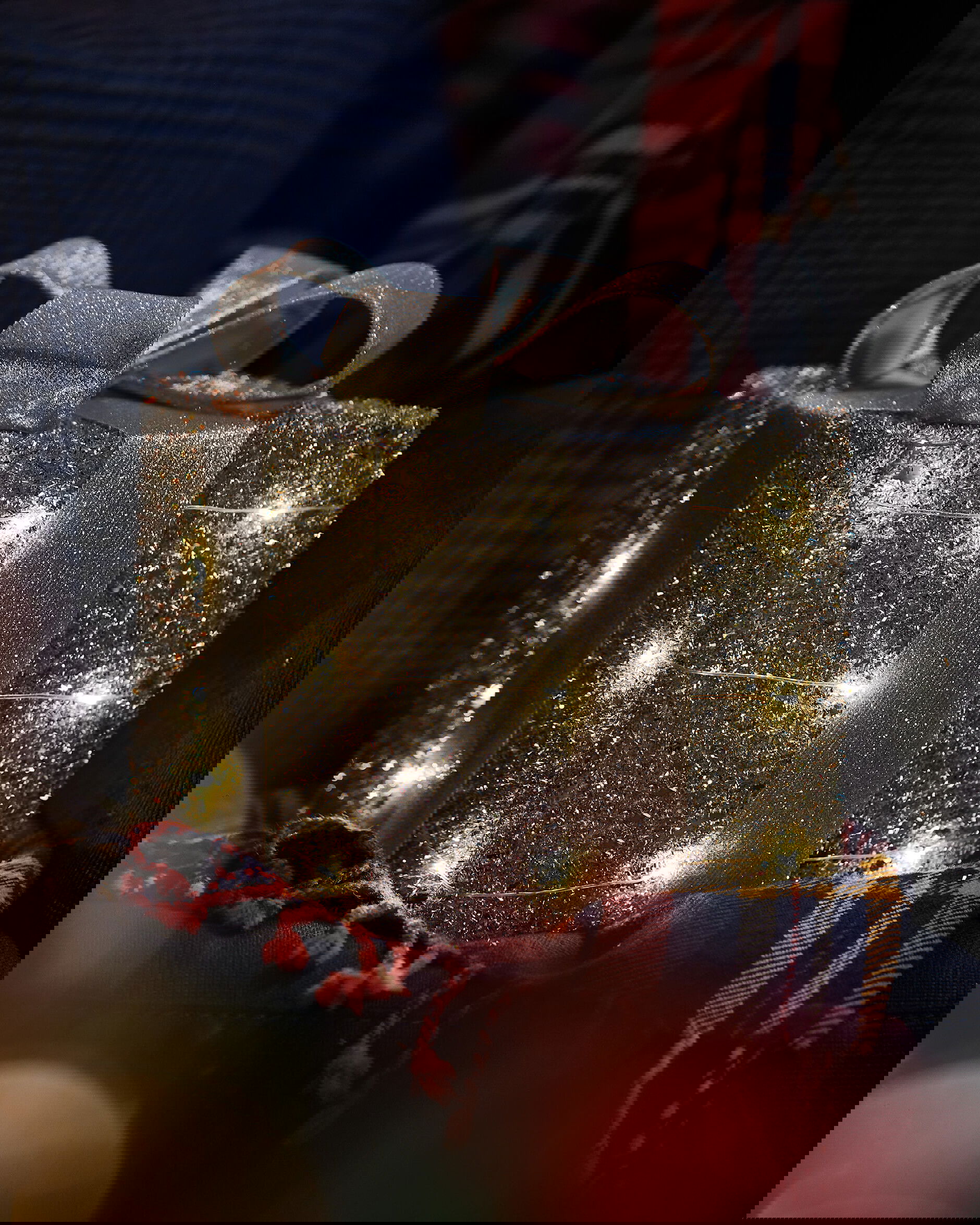 Trevor-joulukoriste, LED-paketti hopea