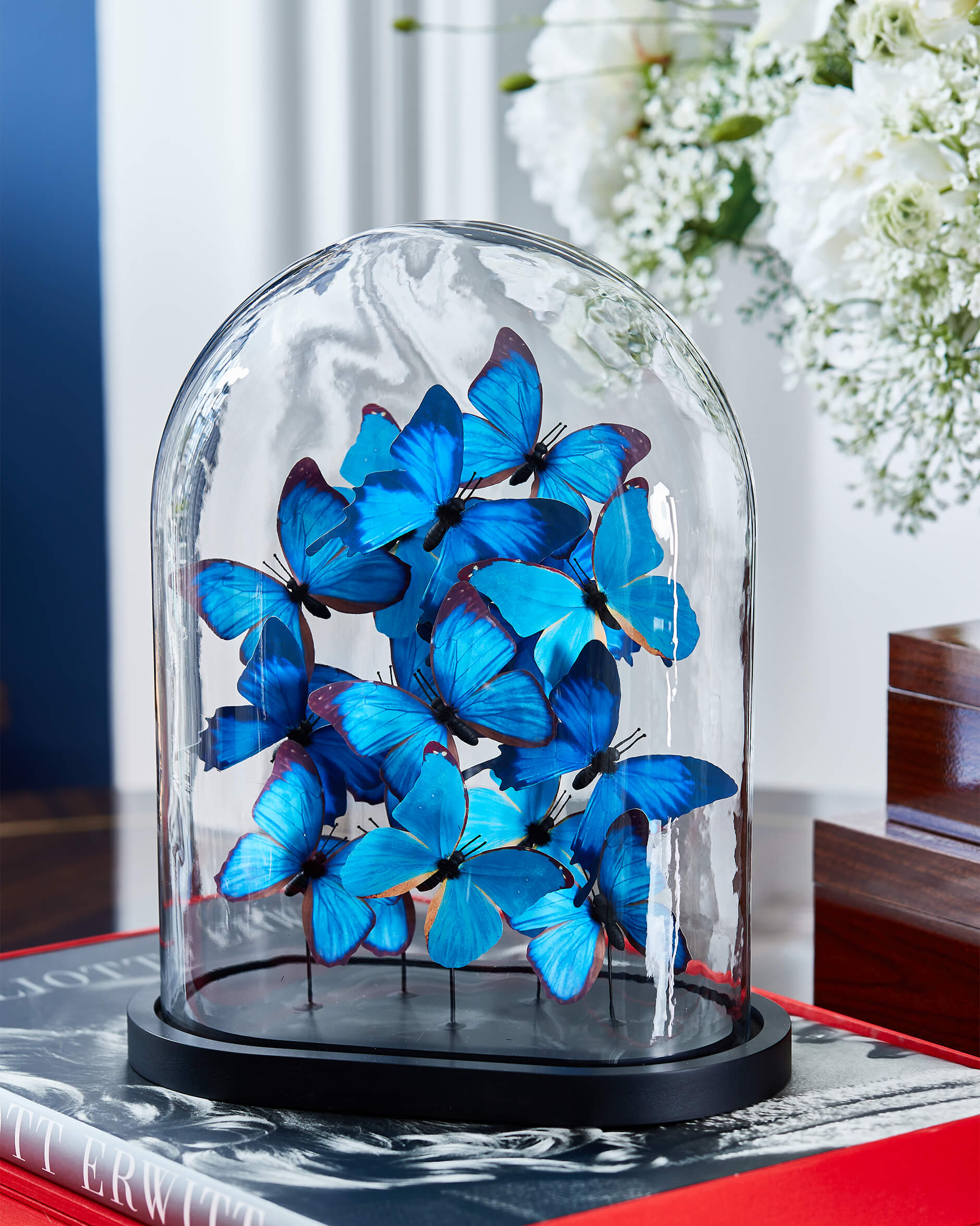 Noves Butterfly Dome Blue