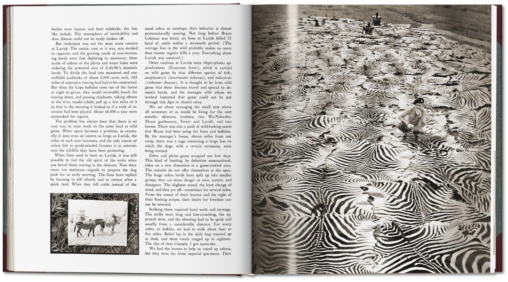 Peter Beard. The End of the Game