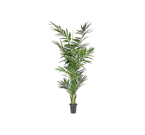 Kunstig palme Kentia