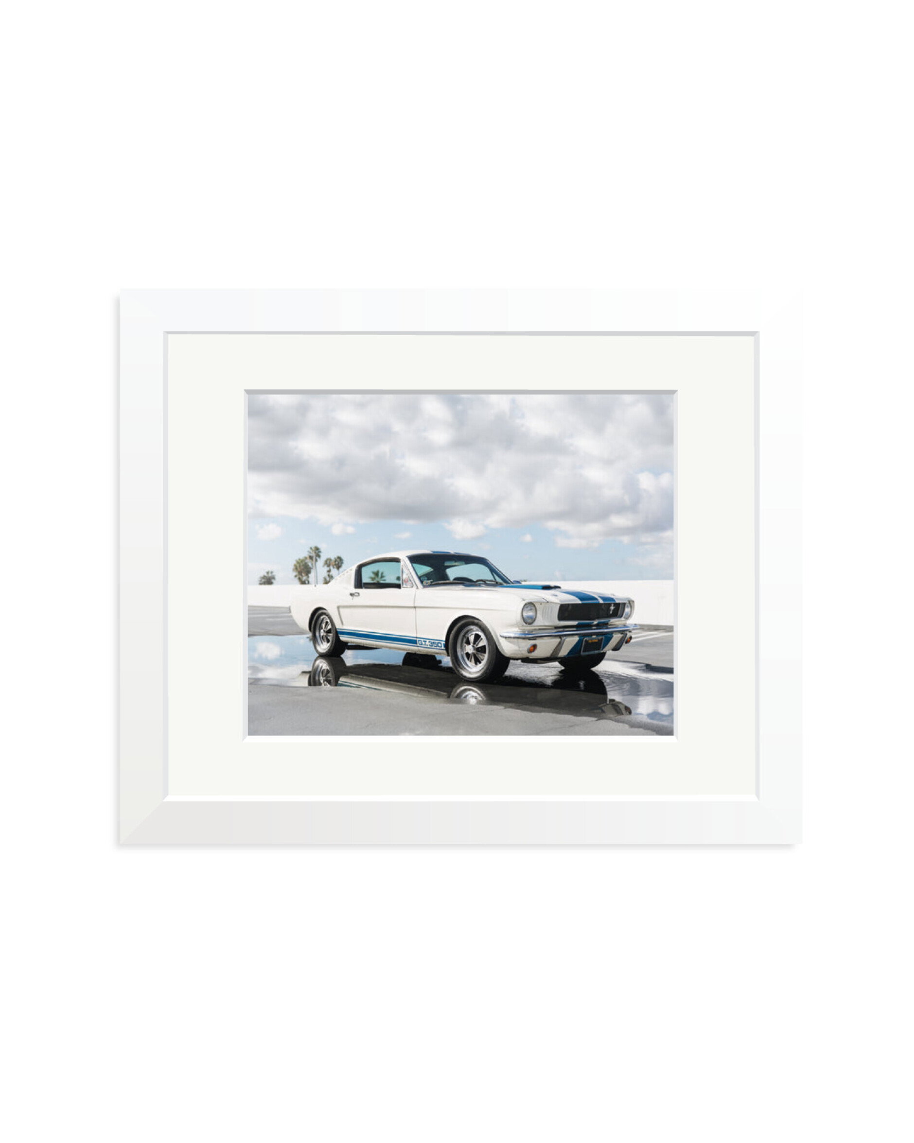 Ford Mustang Shelby GT350 White / Small