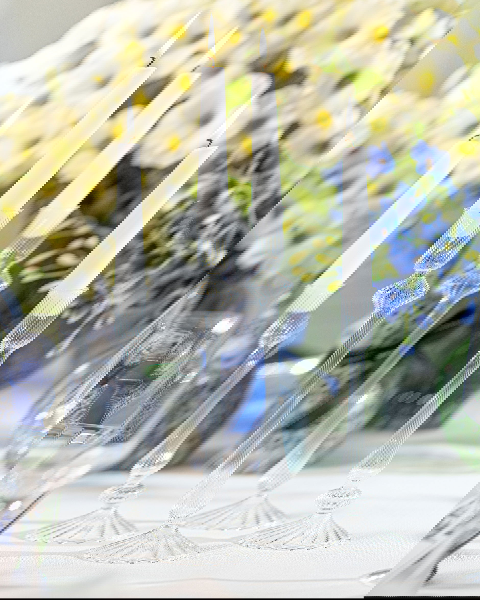 Elodie Kerzenhalter klar