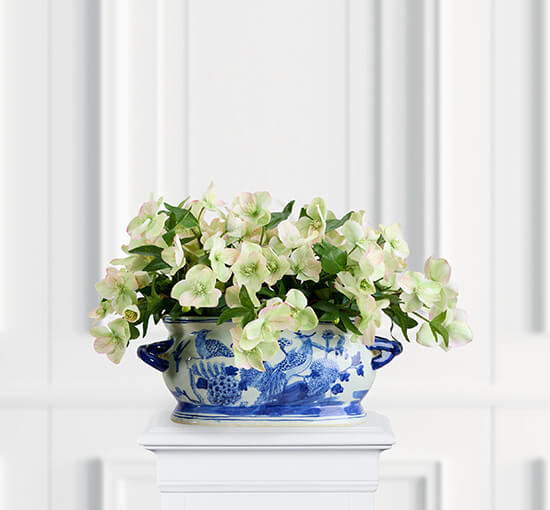 White - Christmas Rose Artificial Plant White