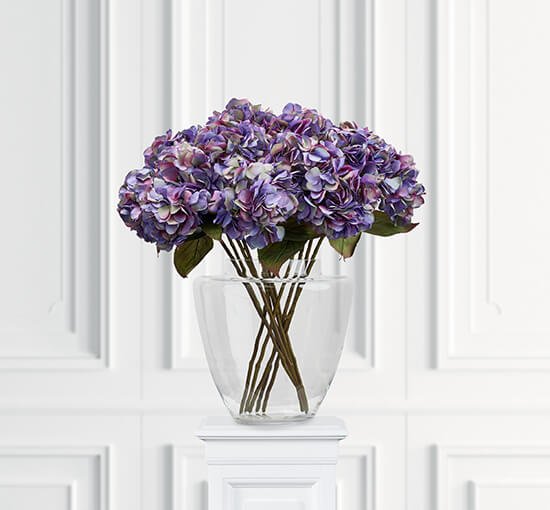 Violetti - Hortensia-leikkokukka violetti