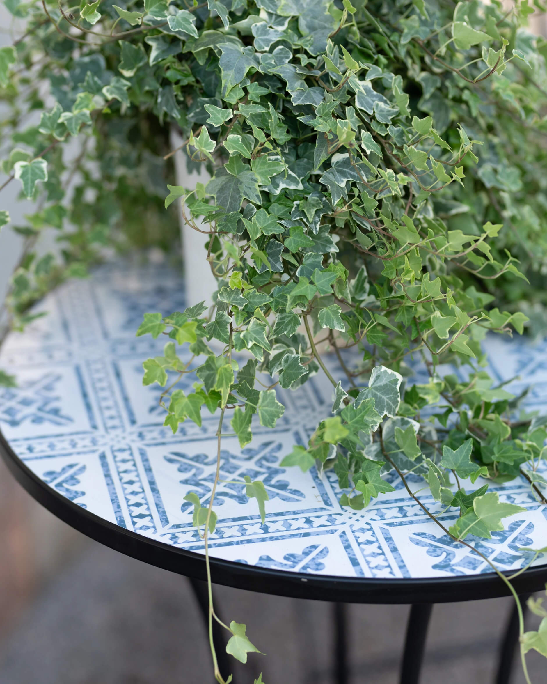 Toscana bord blå/vit