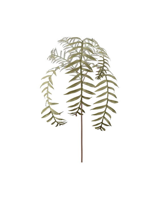 Ormbunksblad grön | Flower World - Konstväxter - Snittblommor | Möbelexperten