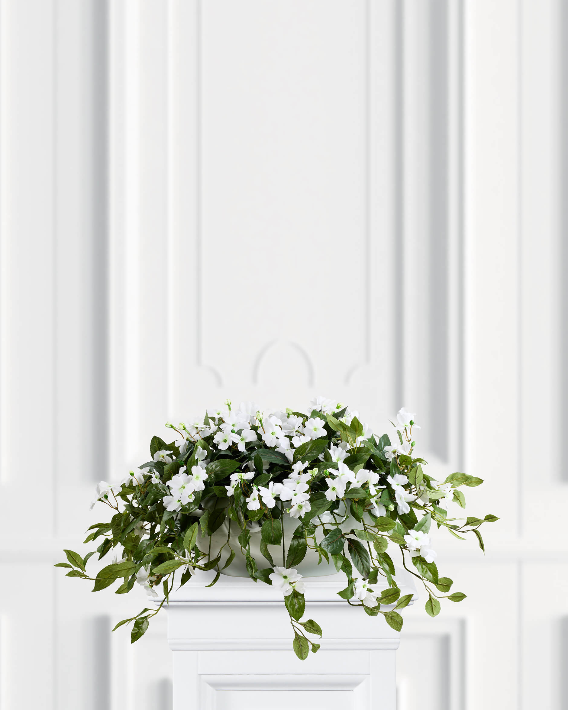 Lyckliga Lotta krukväxt vit