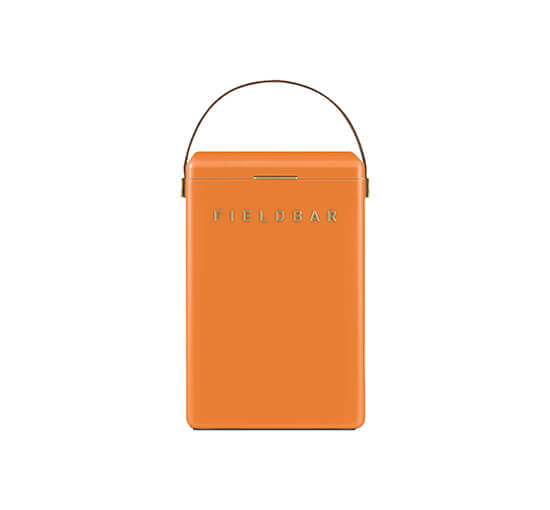 Fieldbar køleboks orchard orange