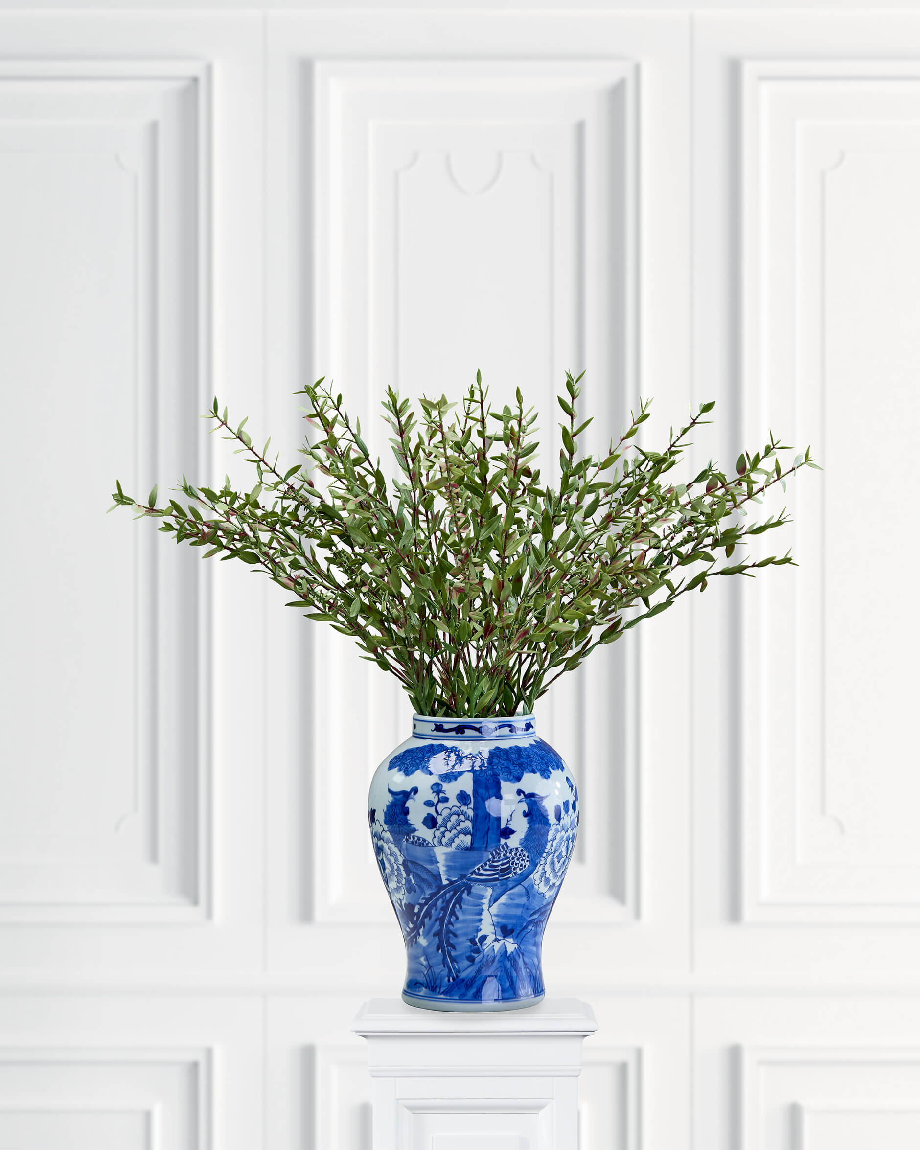 Eucalyptus snittblomma grön