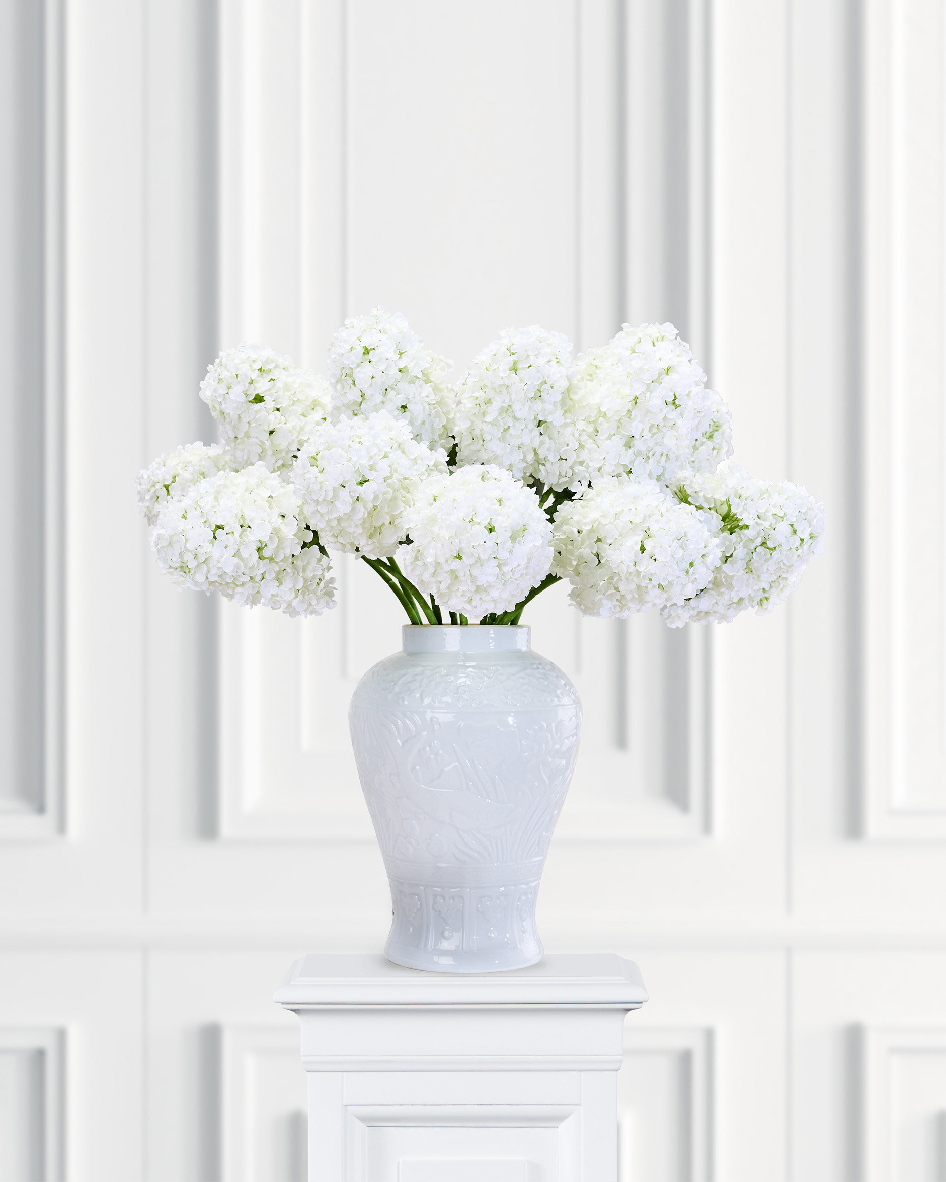 Syrénhortensia snittblomma vit