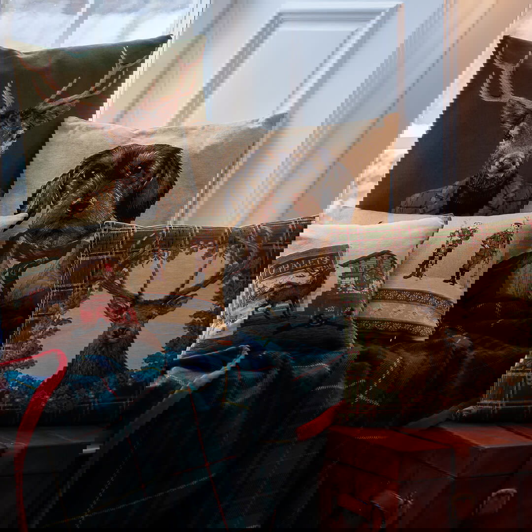 Newporthome.no – Oppdag eksklusive interiørartikler og møbler