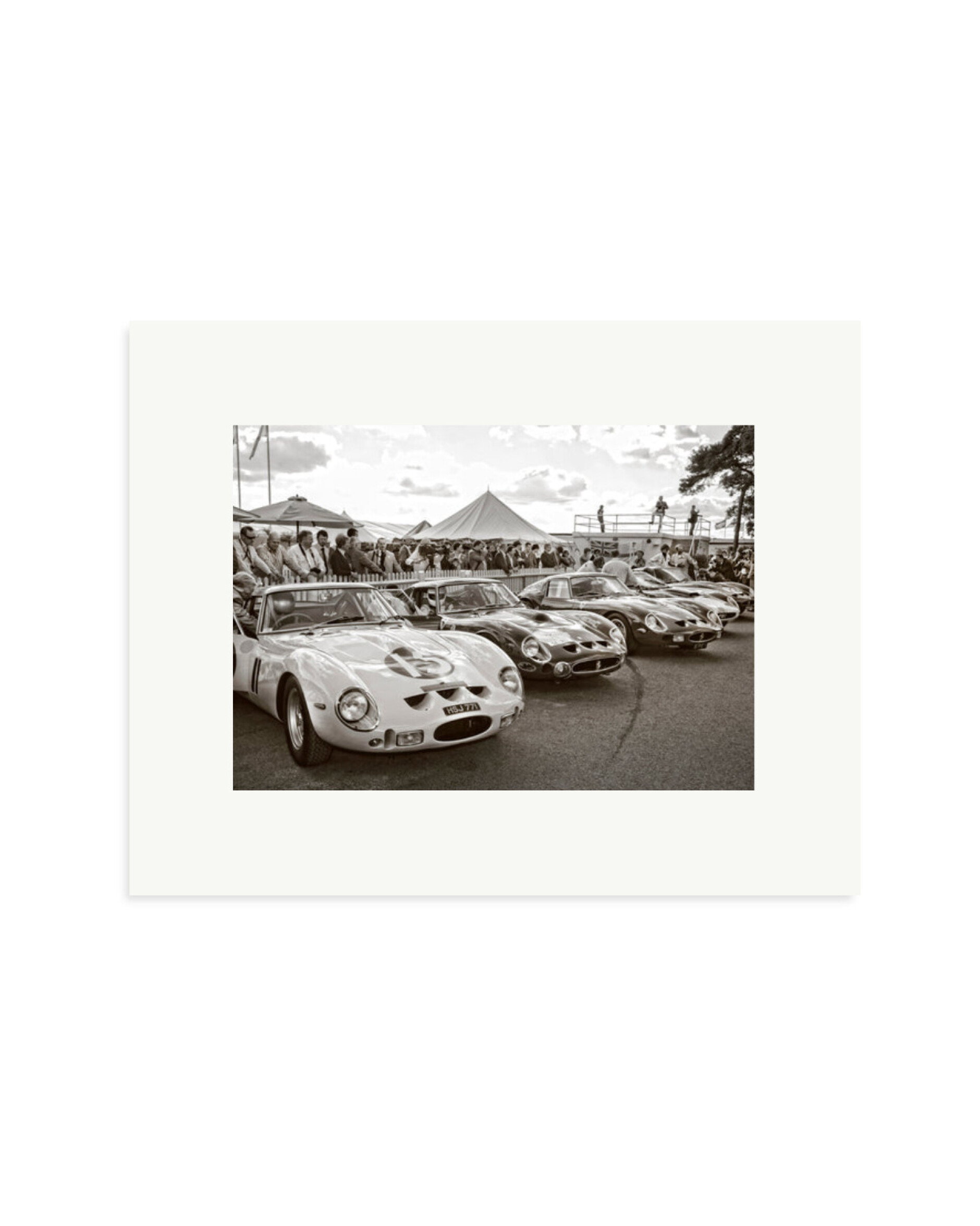 Goodwood Revival Ferarri 250 GTO's Print Only / Small