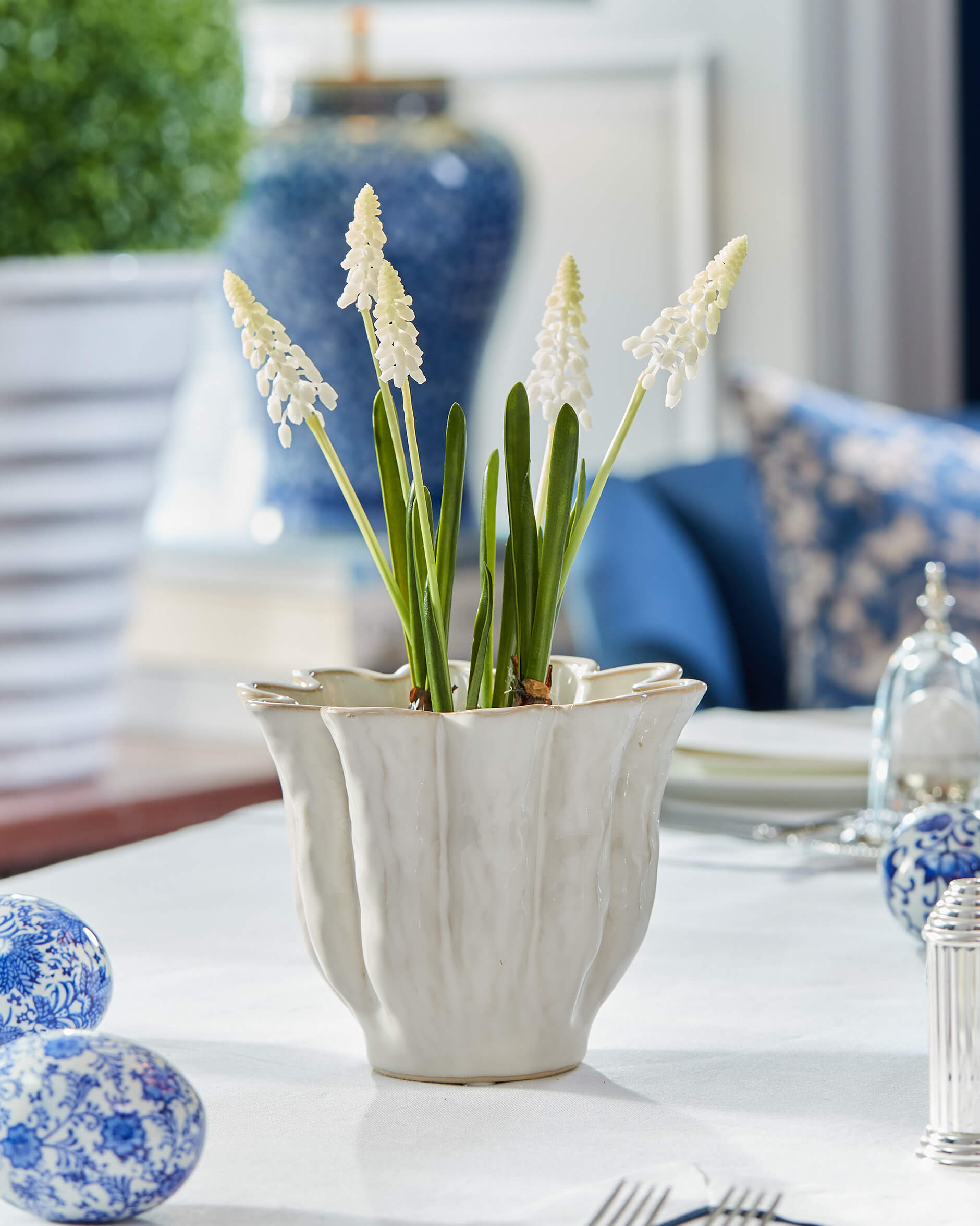 Pärlhyacint krukväxt vit