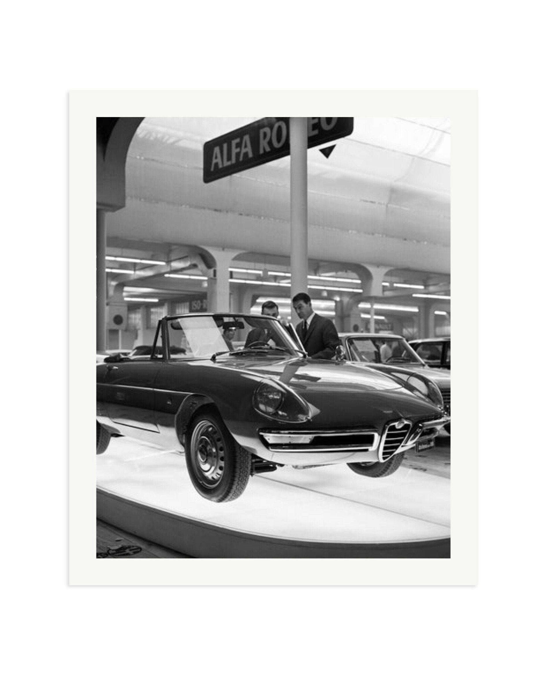 Alfa Romeo Spider 1600 Print Only / XXL