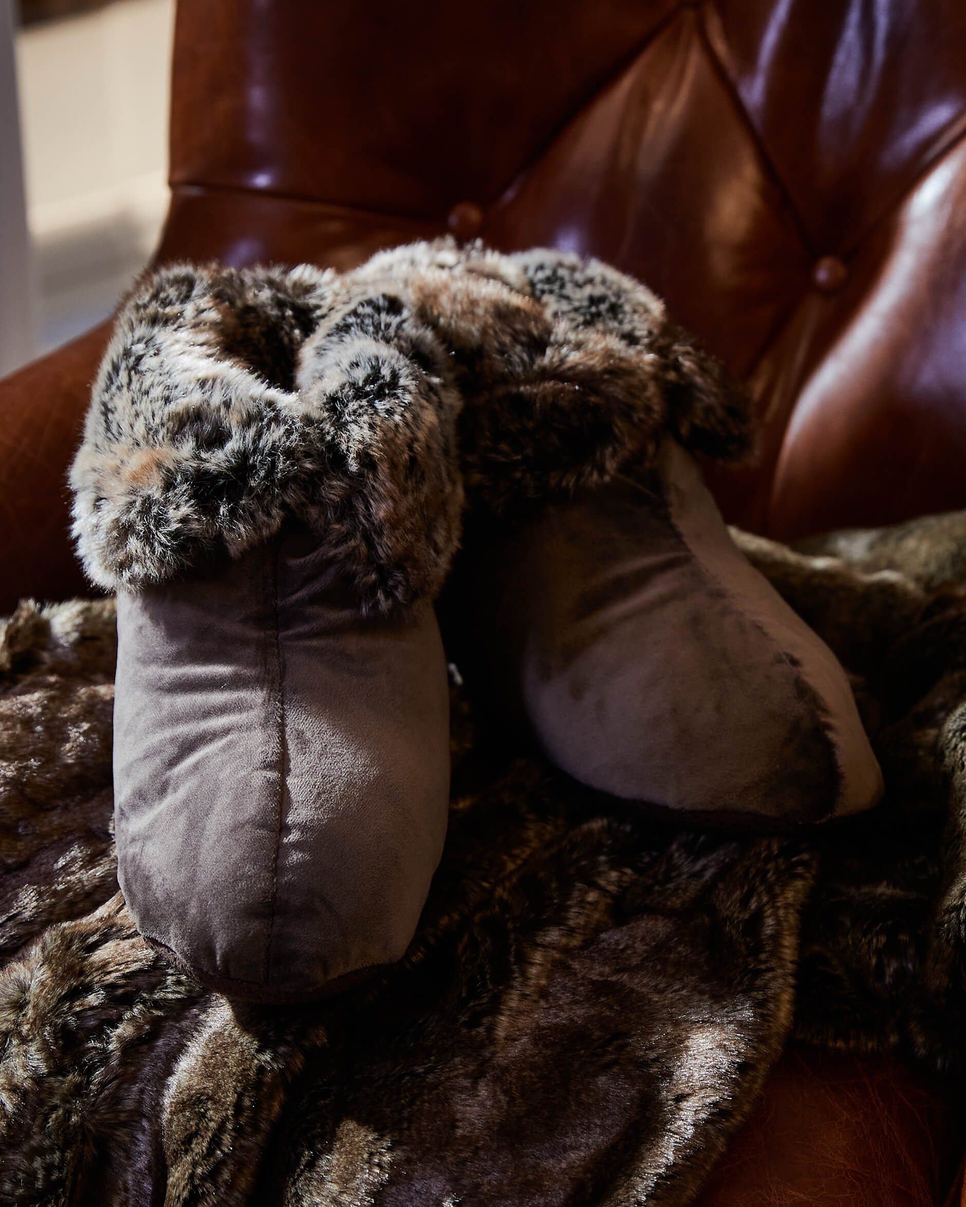 Aspen tofflor brown bear