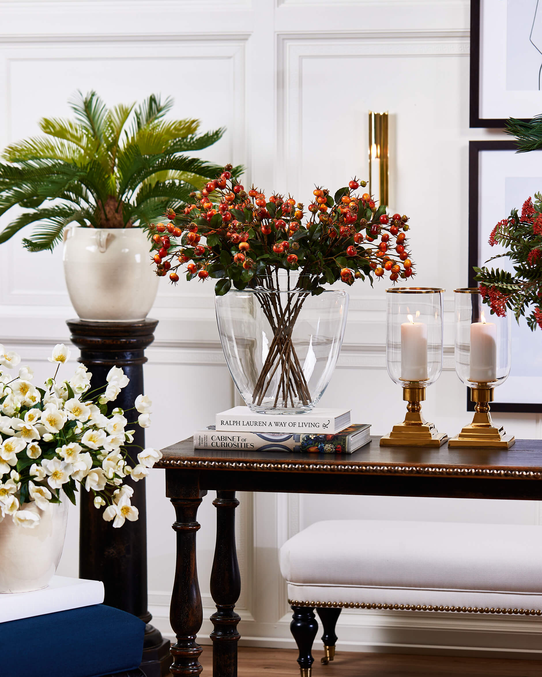 Cycas krukväxt grön