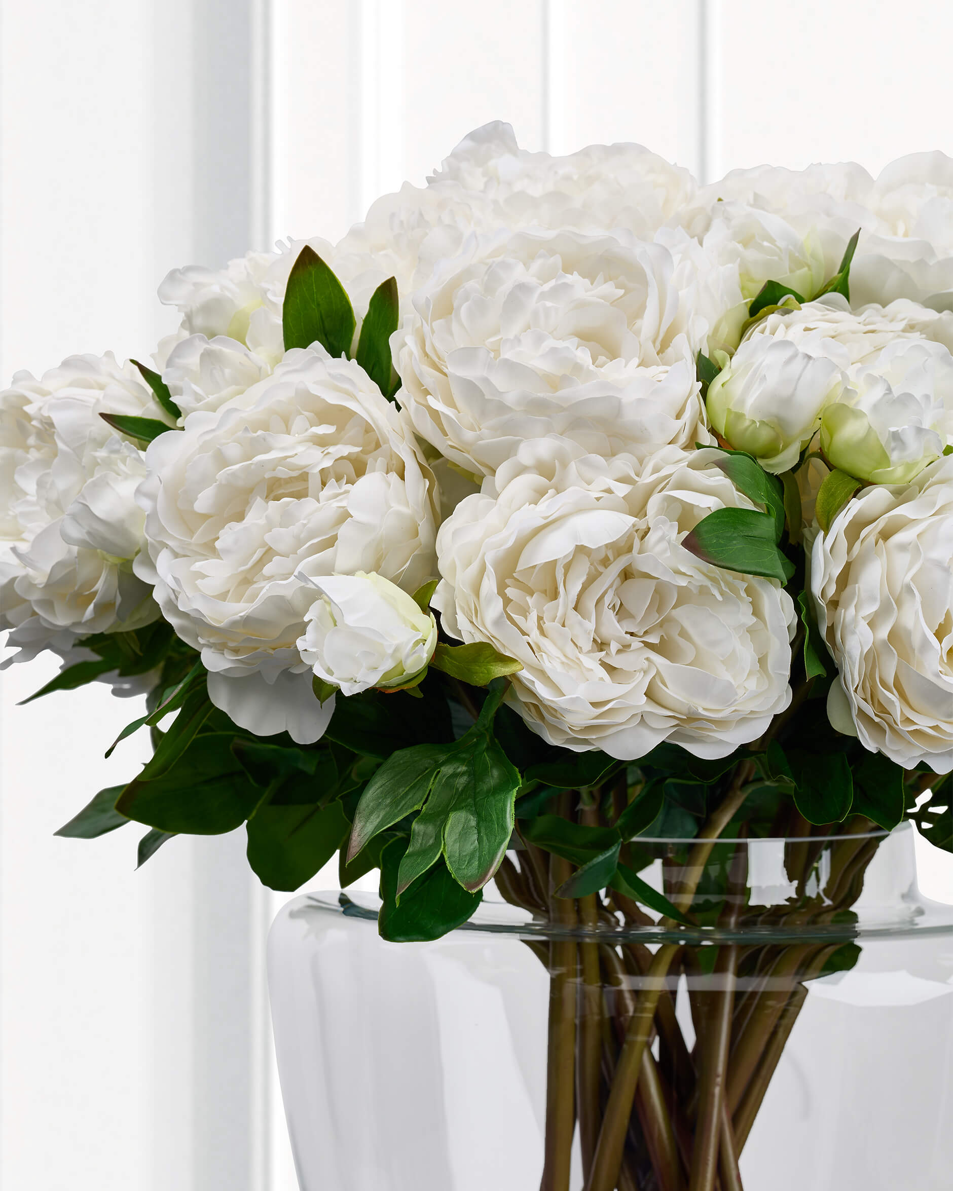 Pion snittblomma vit