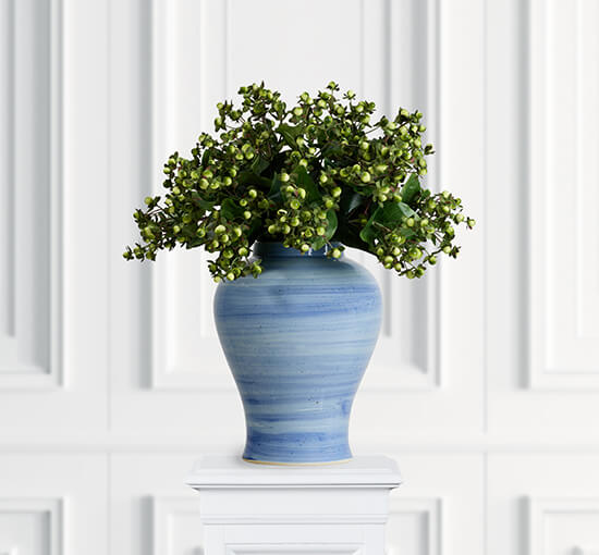 null - Hypericum Cut Flower Creme