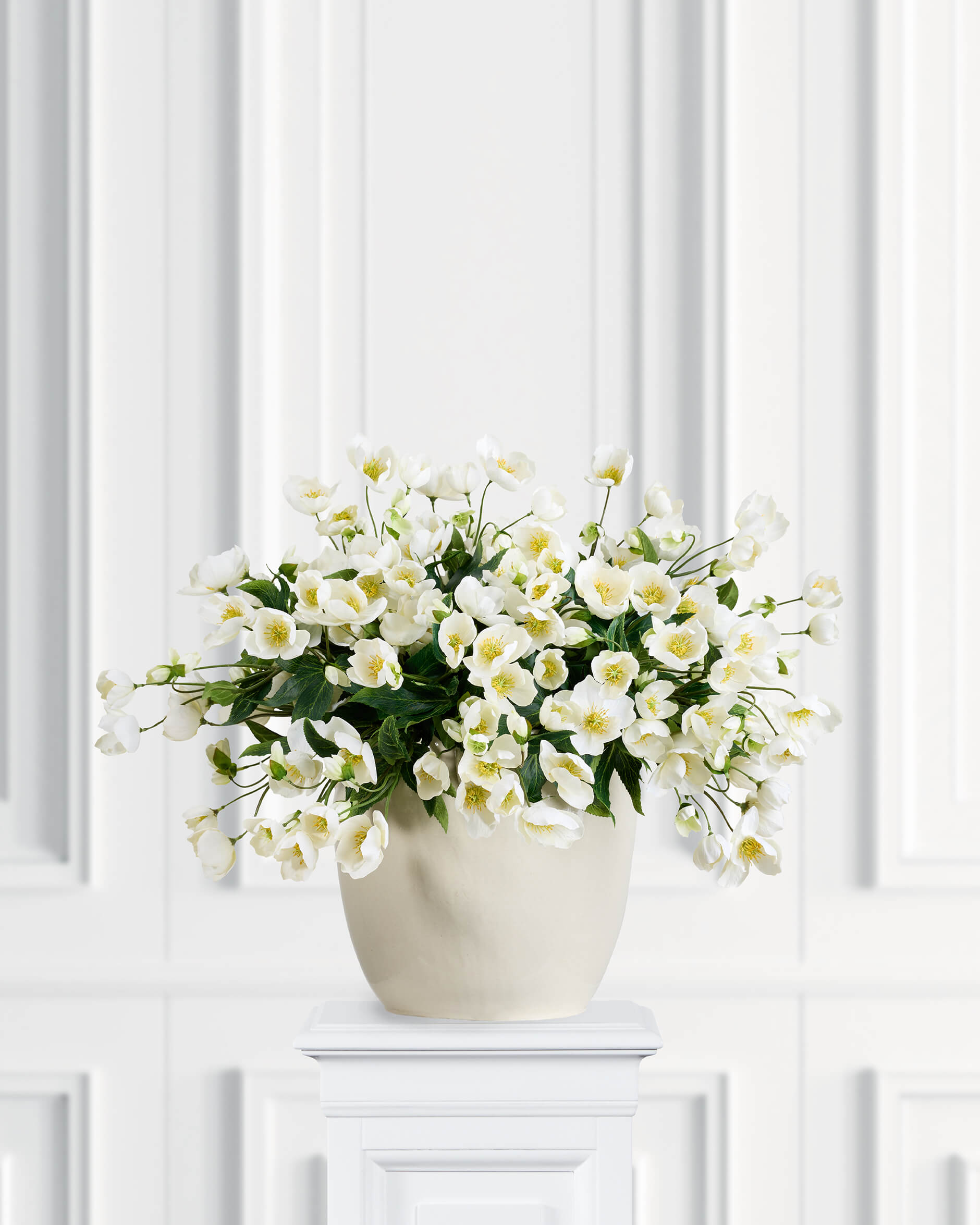 Julros snittblomma vit