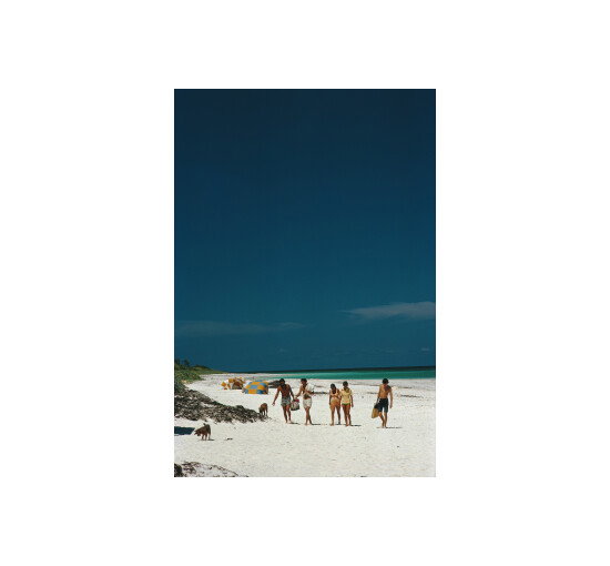 Harbour Isle Beach