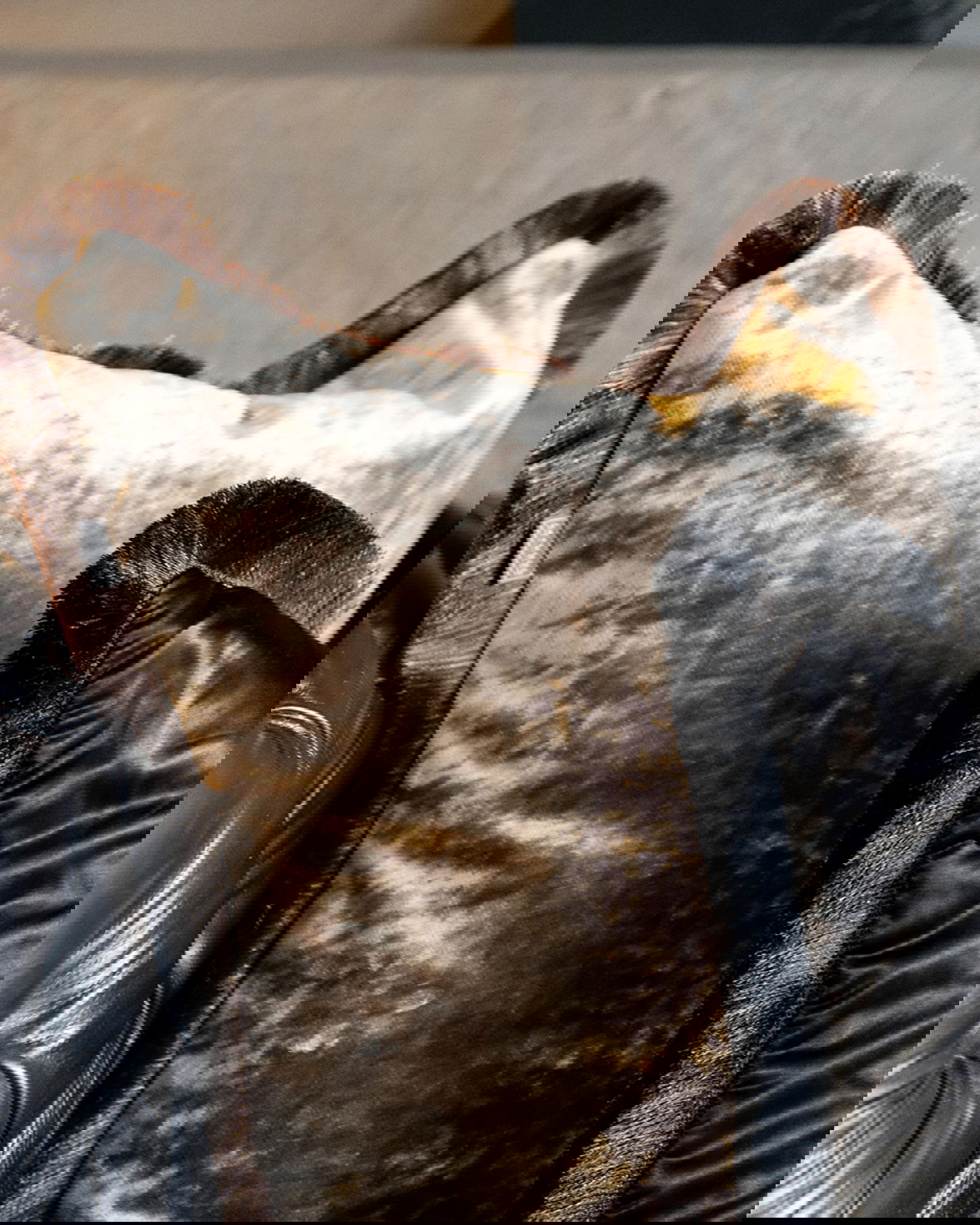 Garda Velvet kuddfodral fransar beige