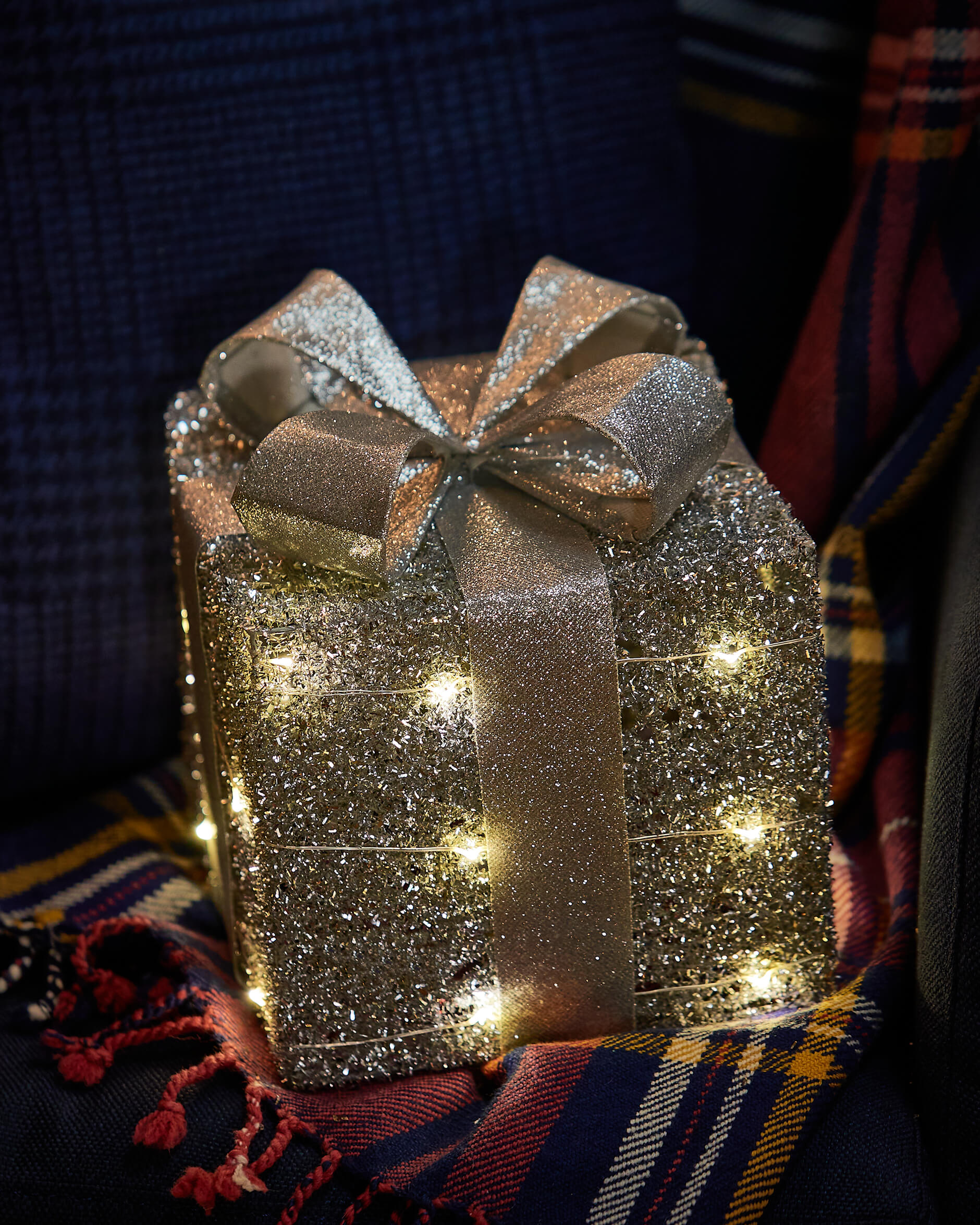 Trevor-joulukoriste, LED-paketti hopea