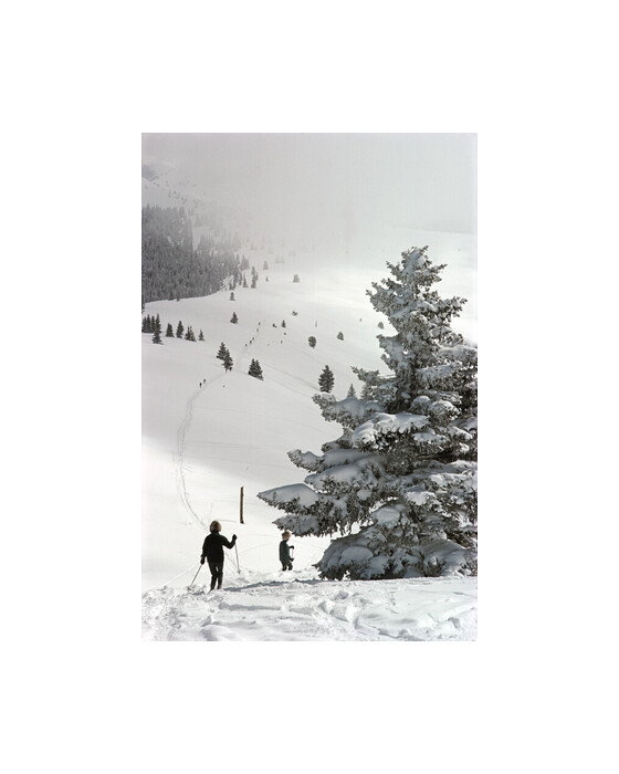 Skiing in Vail