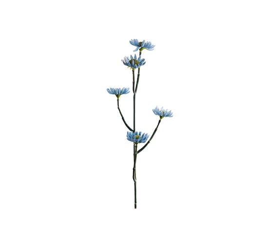 50cm - Eternell snittblomma blå OUTLET