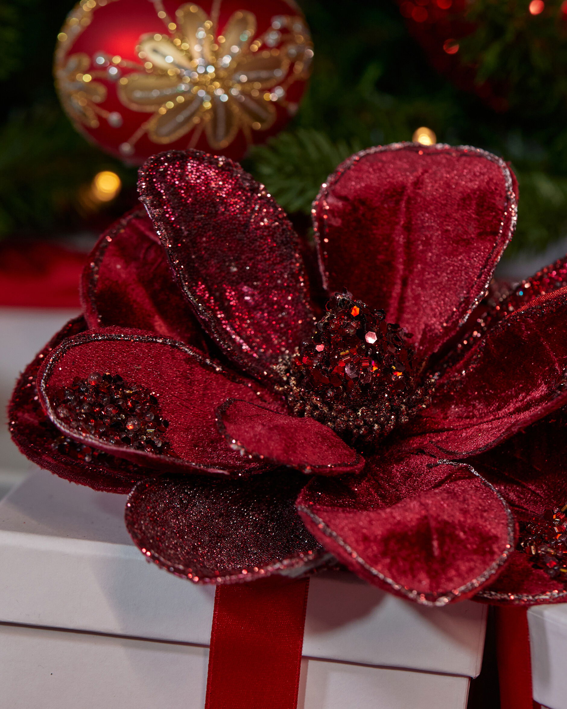 Magnolia koristeoksa viininpunainen