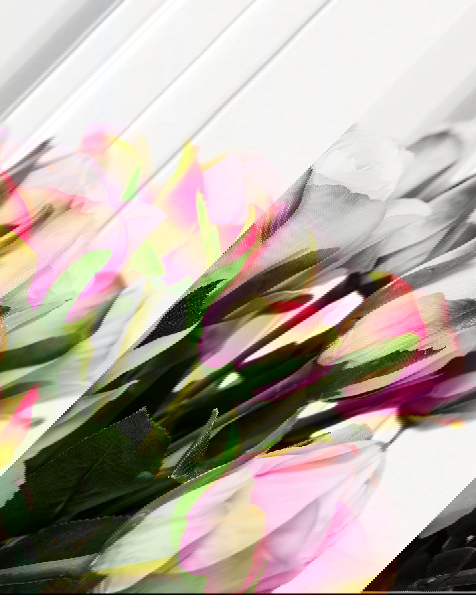 Rose Schnittblume rosa