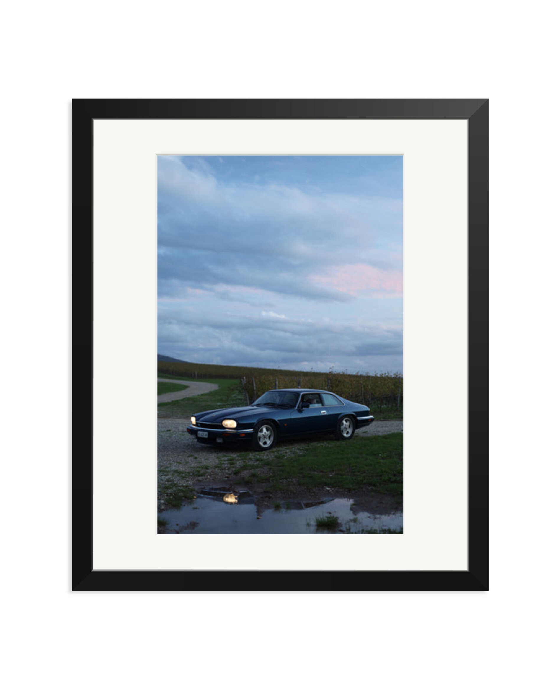Jaguar XJS Black / Large