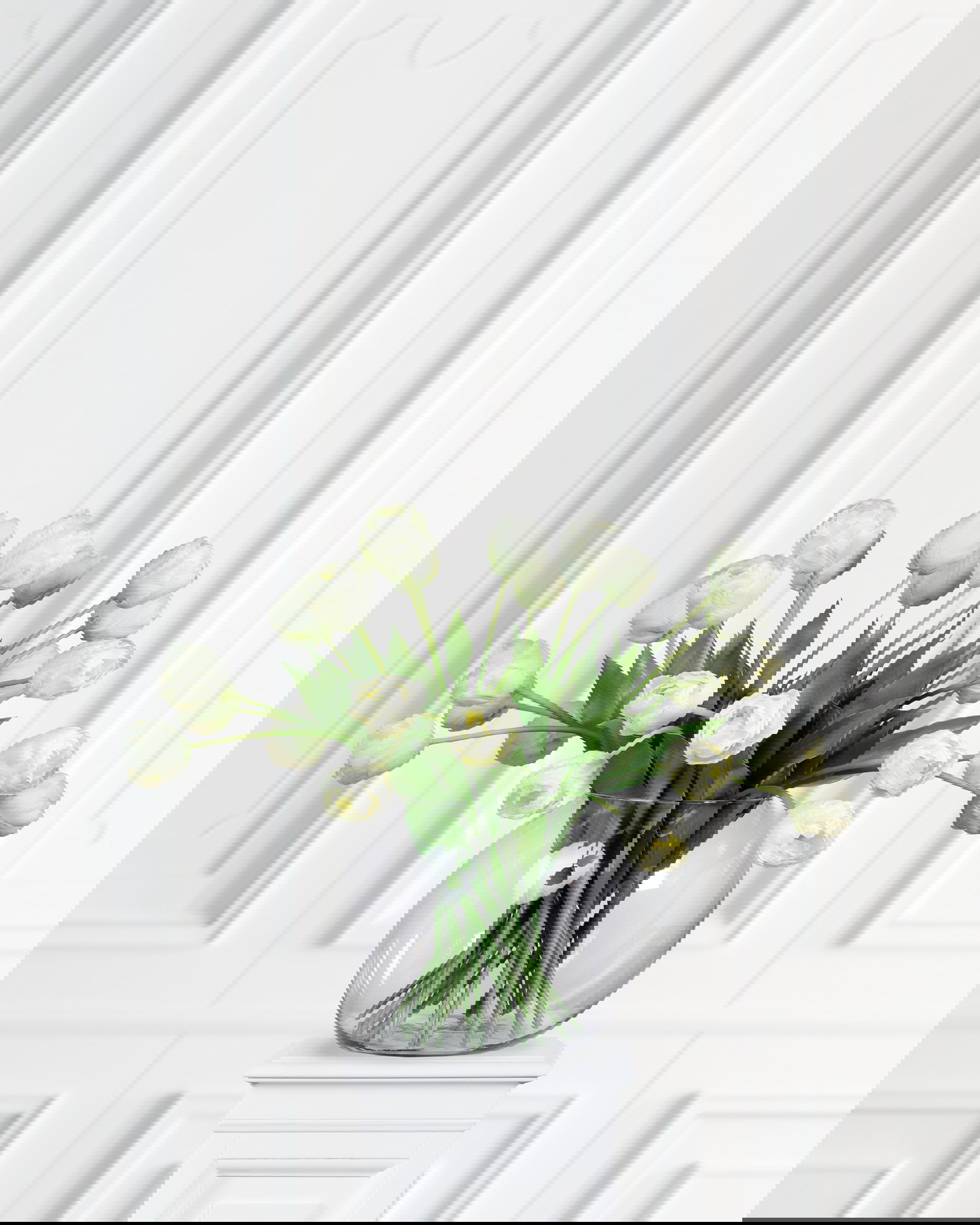 Tulpan snittblomma cream