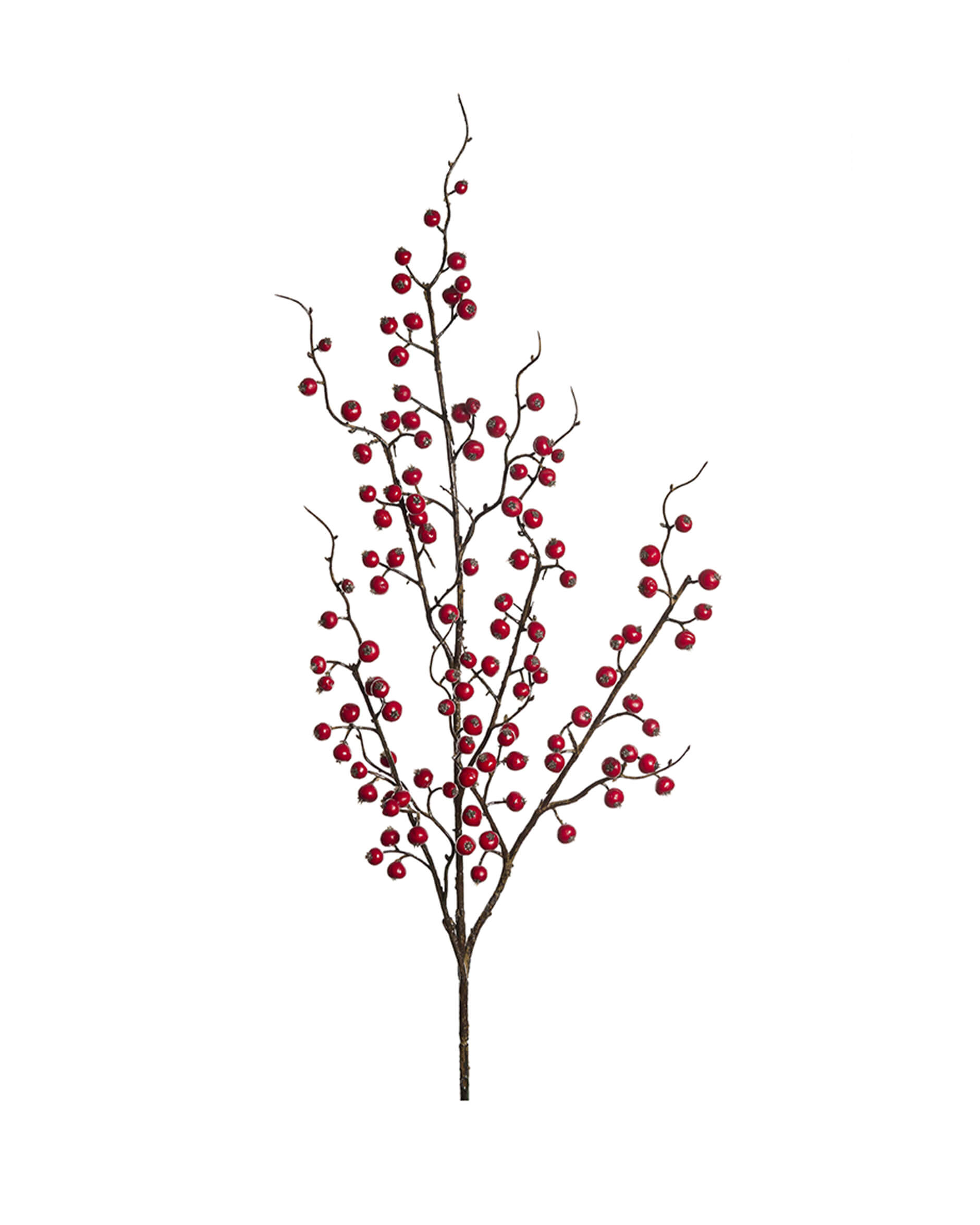 Ingrid bärkvist röd