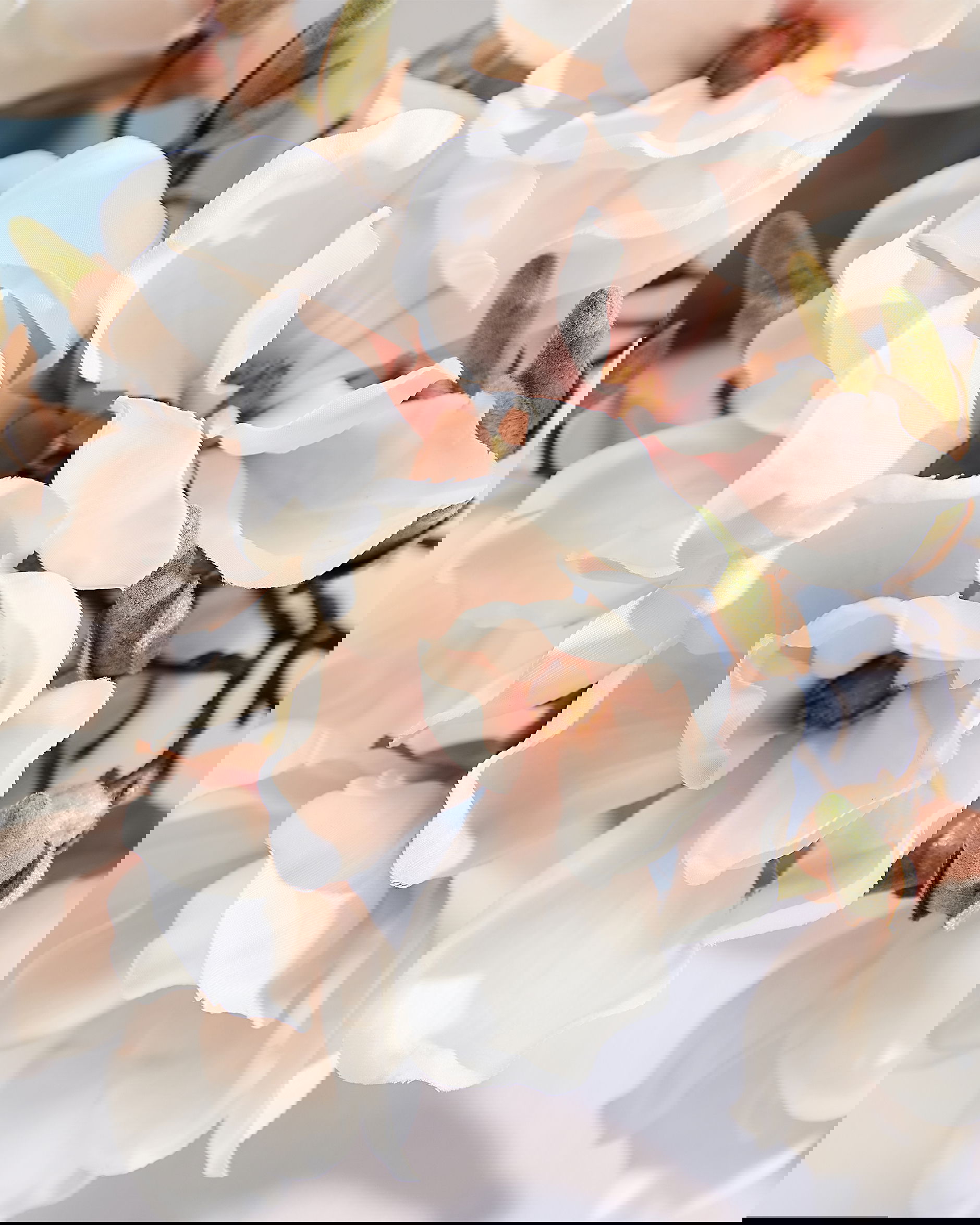 Magnolia snittblomma vit/rosa