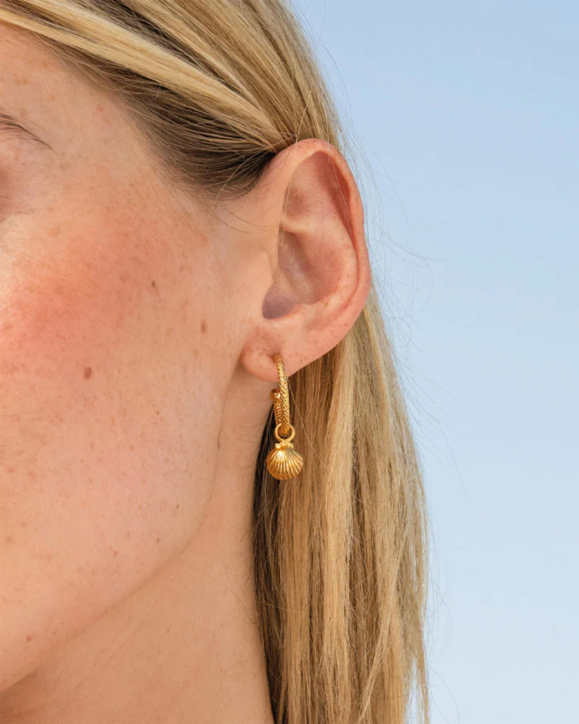 Shell loops örhängen guld