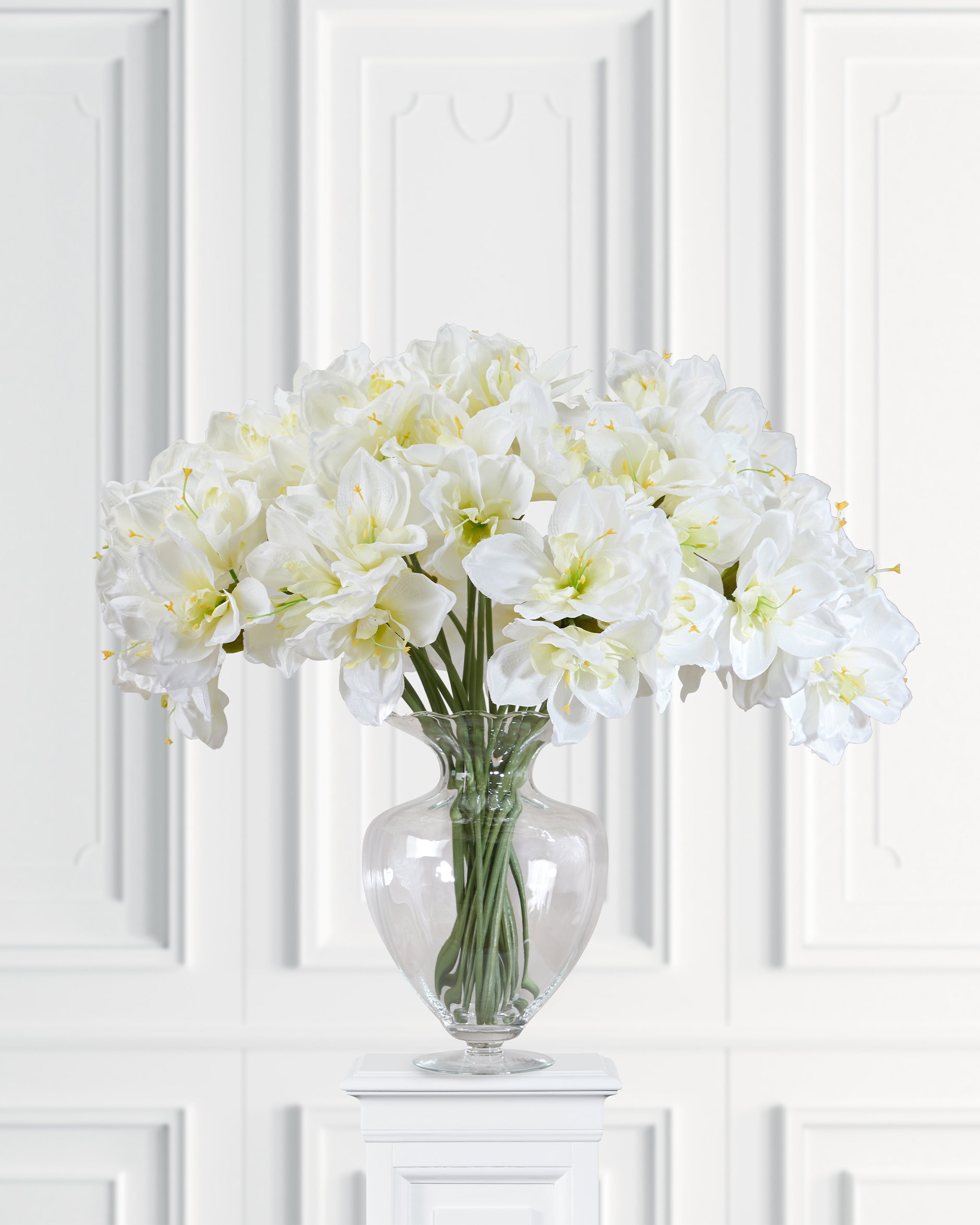 Amaryllis cut flower white