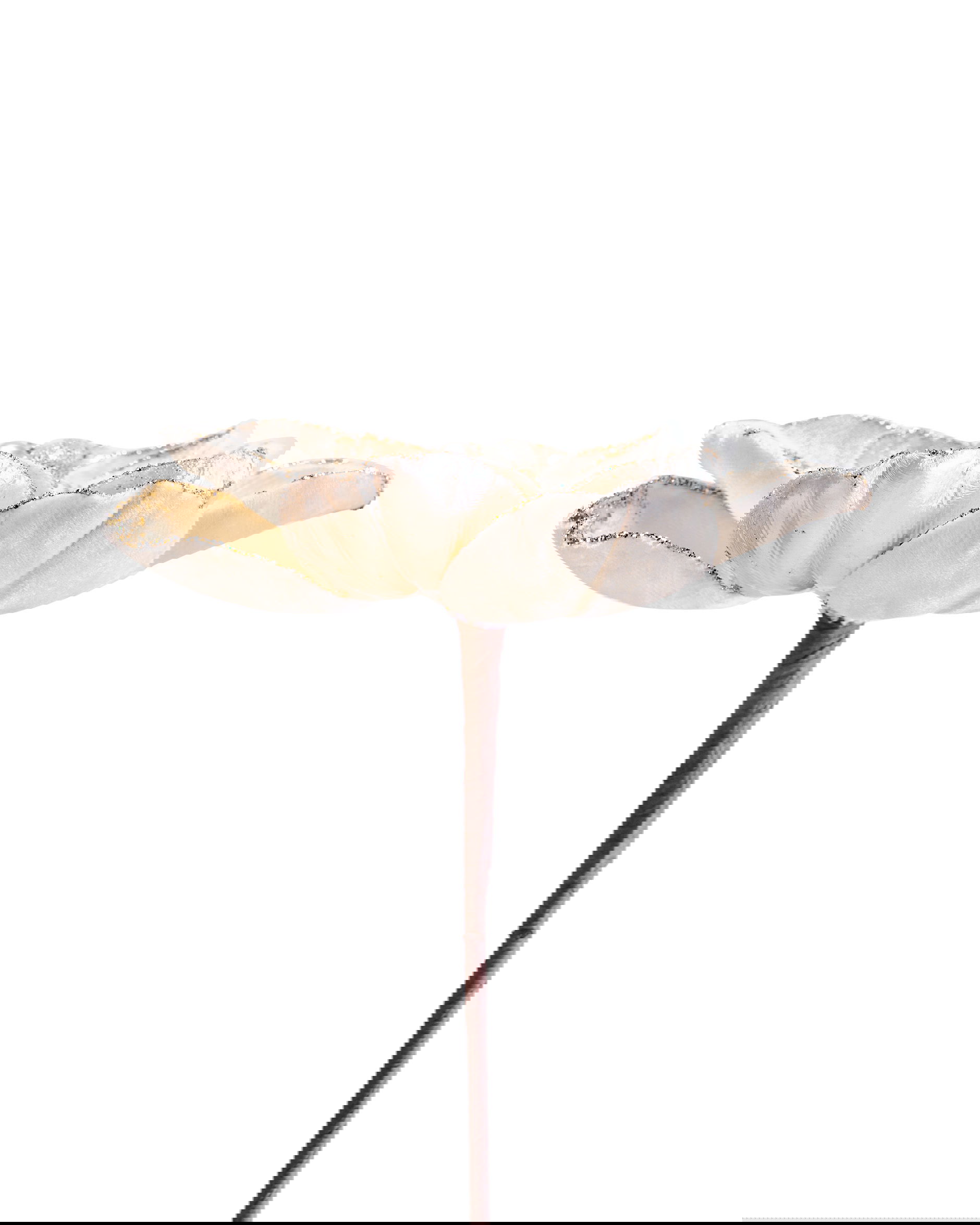 Magnolia Pearl Decorative Branch Ivory