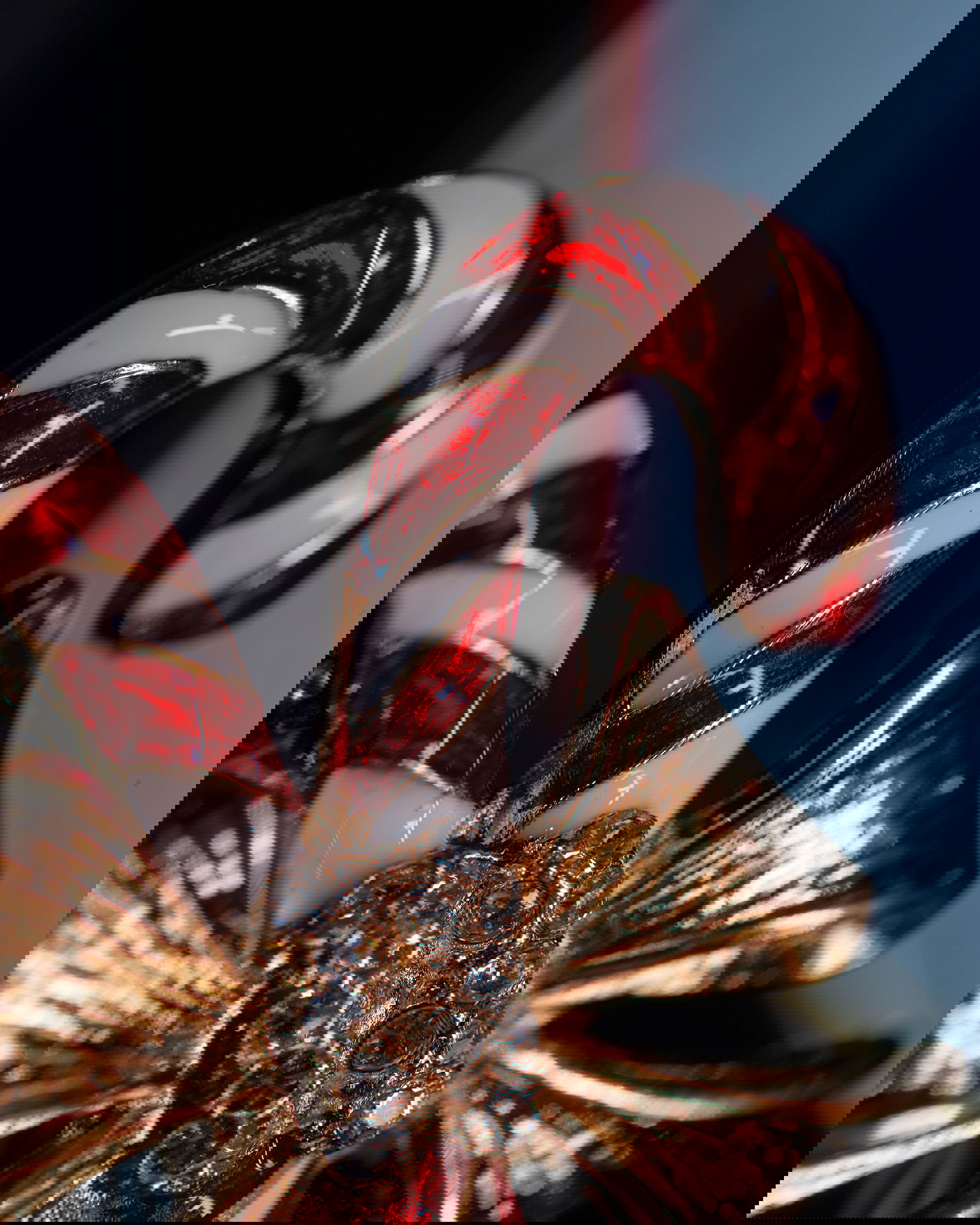 Julius polkakäpp brosch röd/vit