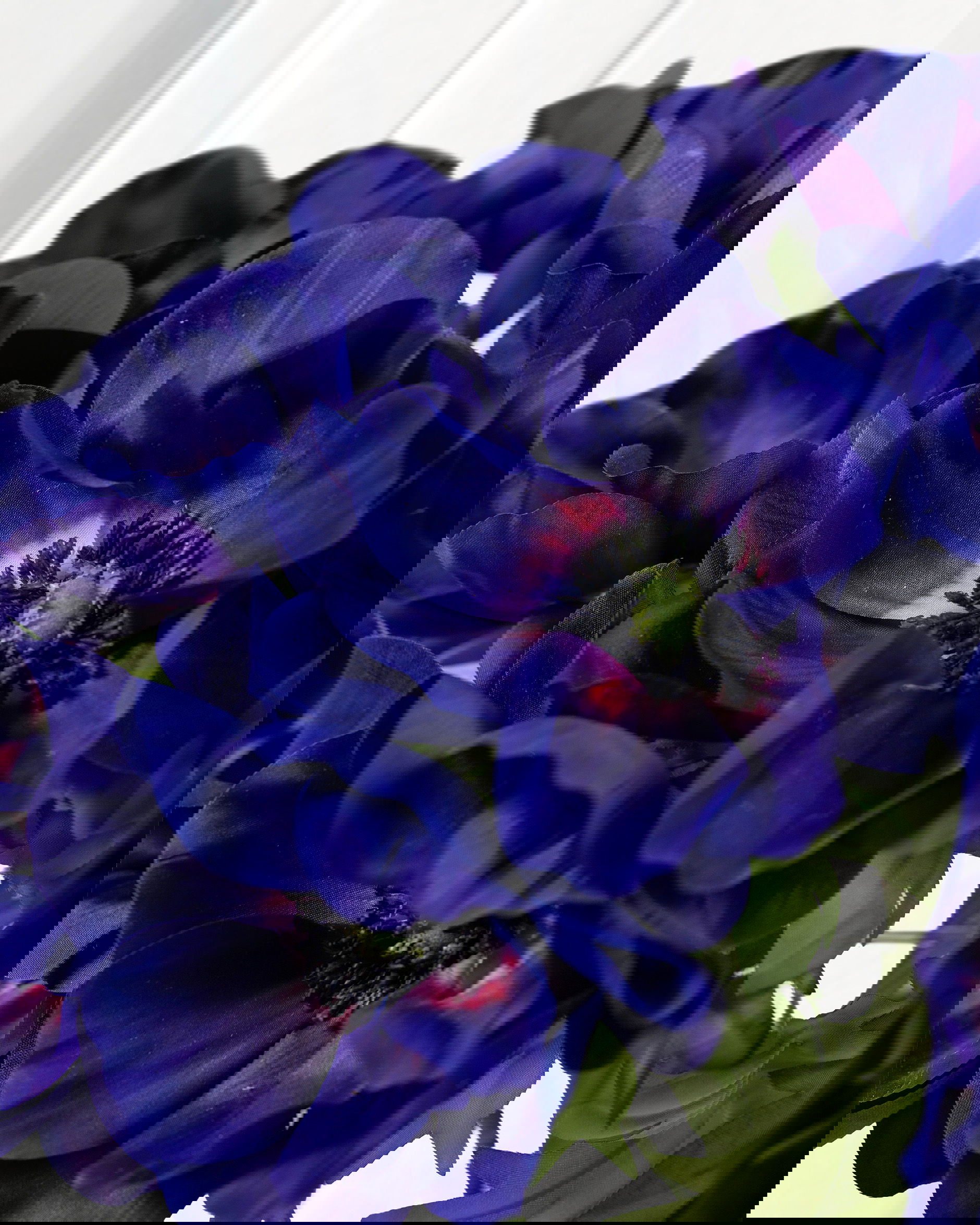 Anemone Cut Flower Blue