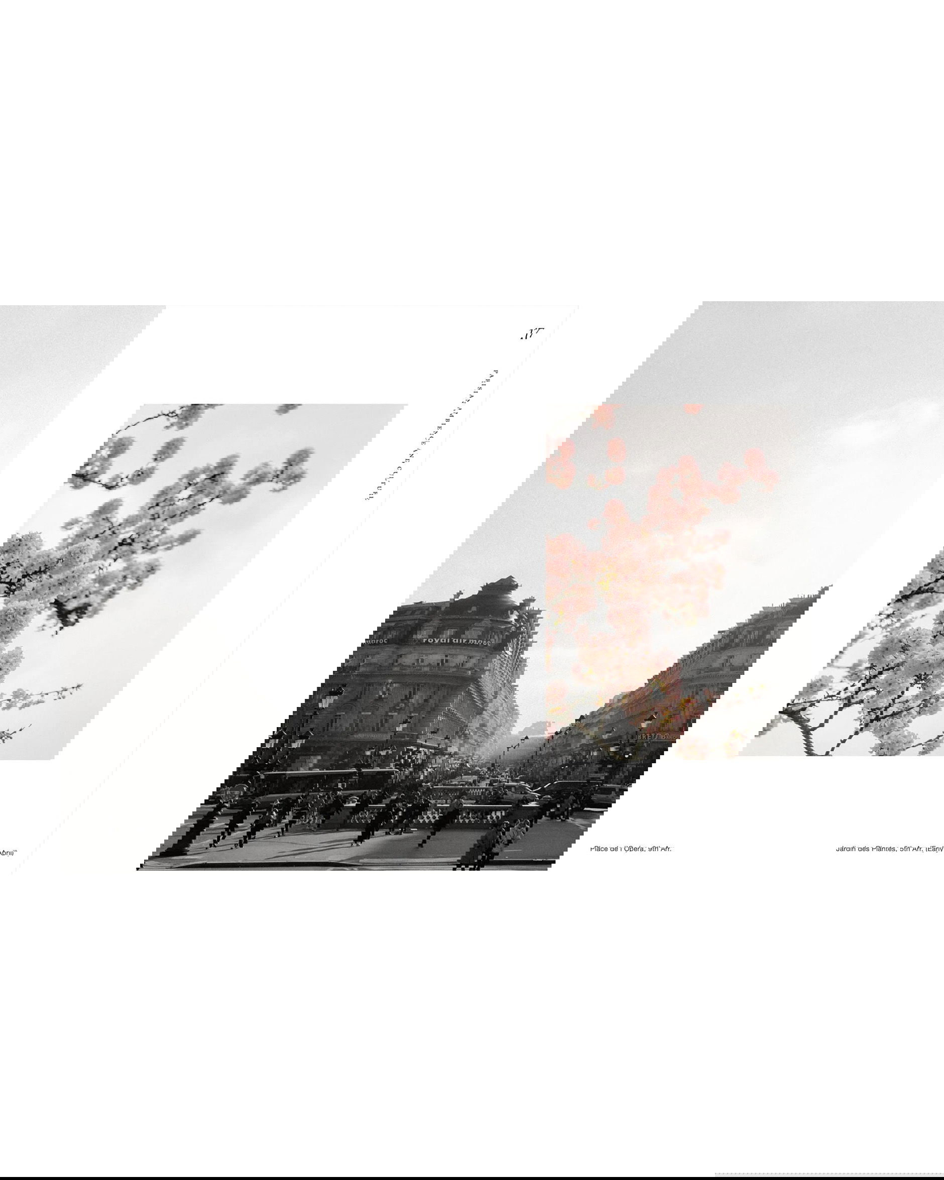 Paris – Dreamy Tips for the City of Love