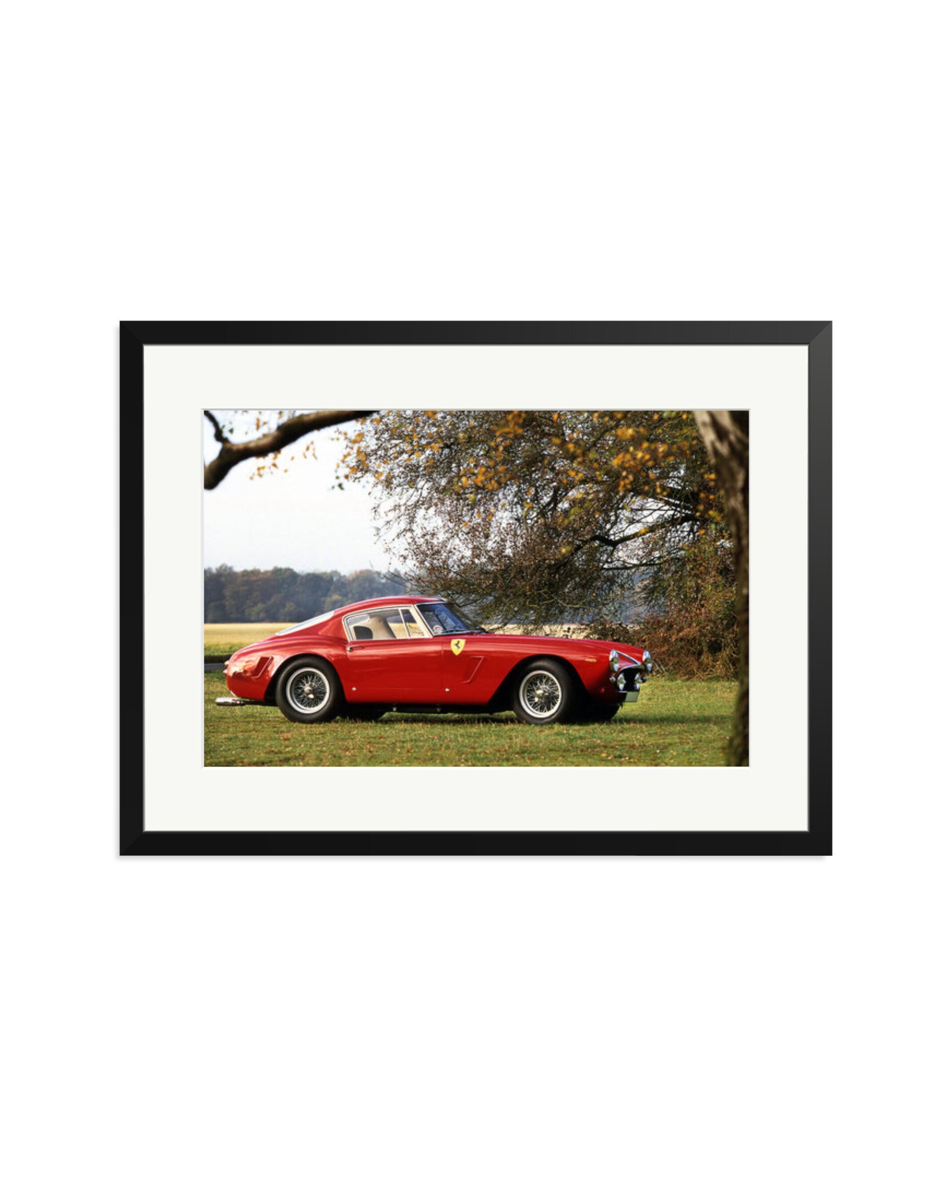 Ferrari Competizione Black / XL