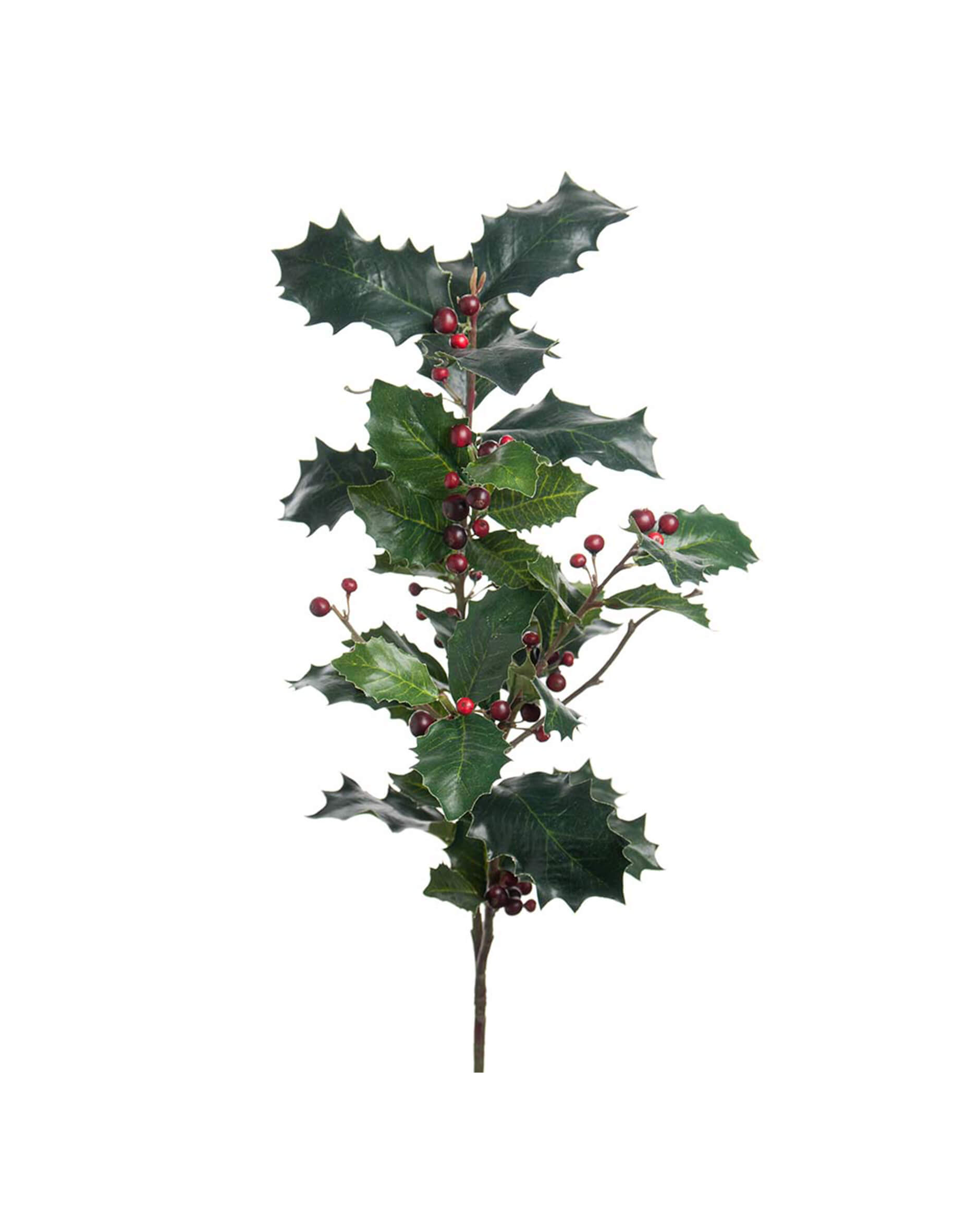 Järnek snittblomma grön/röd 85cm