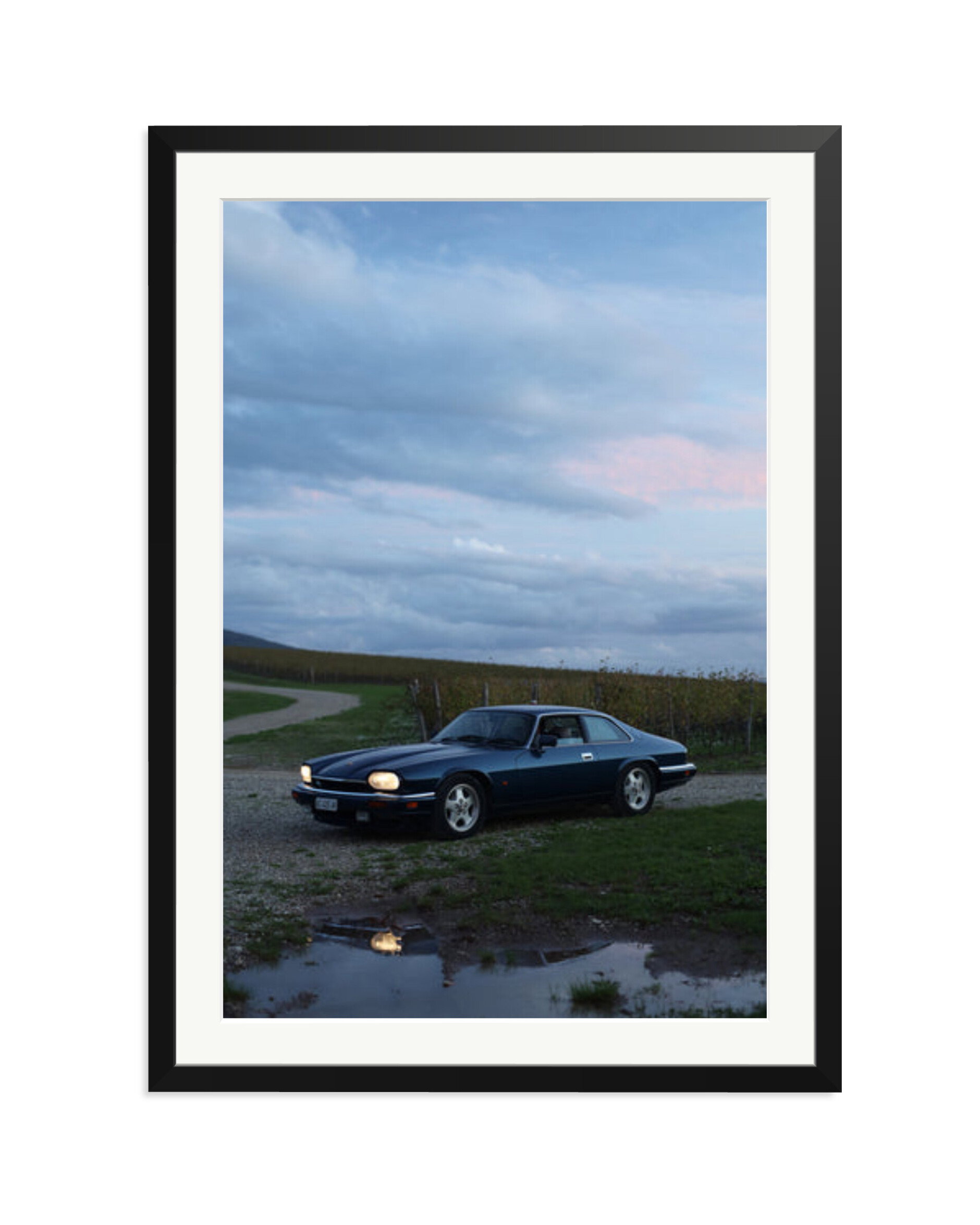 Jaguar XJS Black / XXL