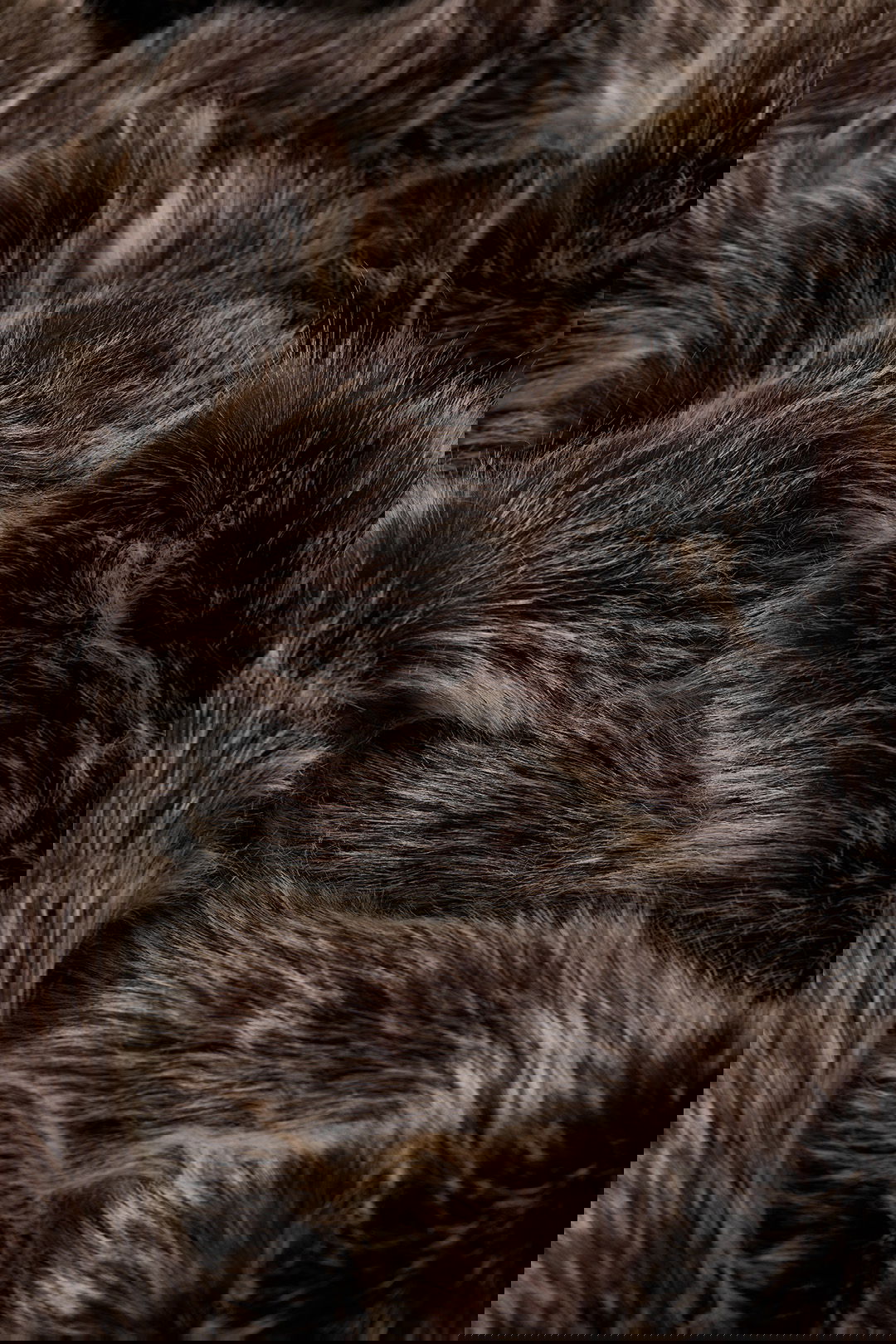 Christmas Super Deals