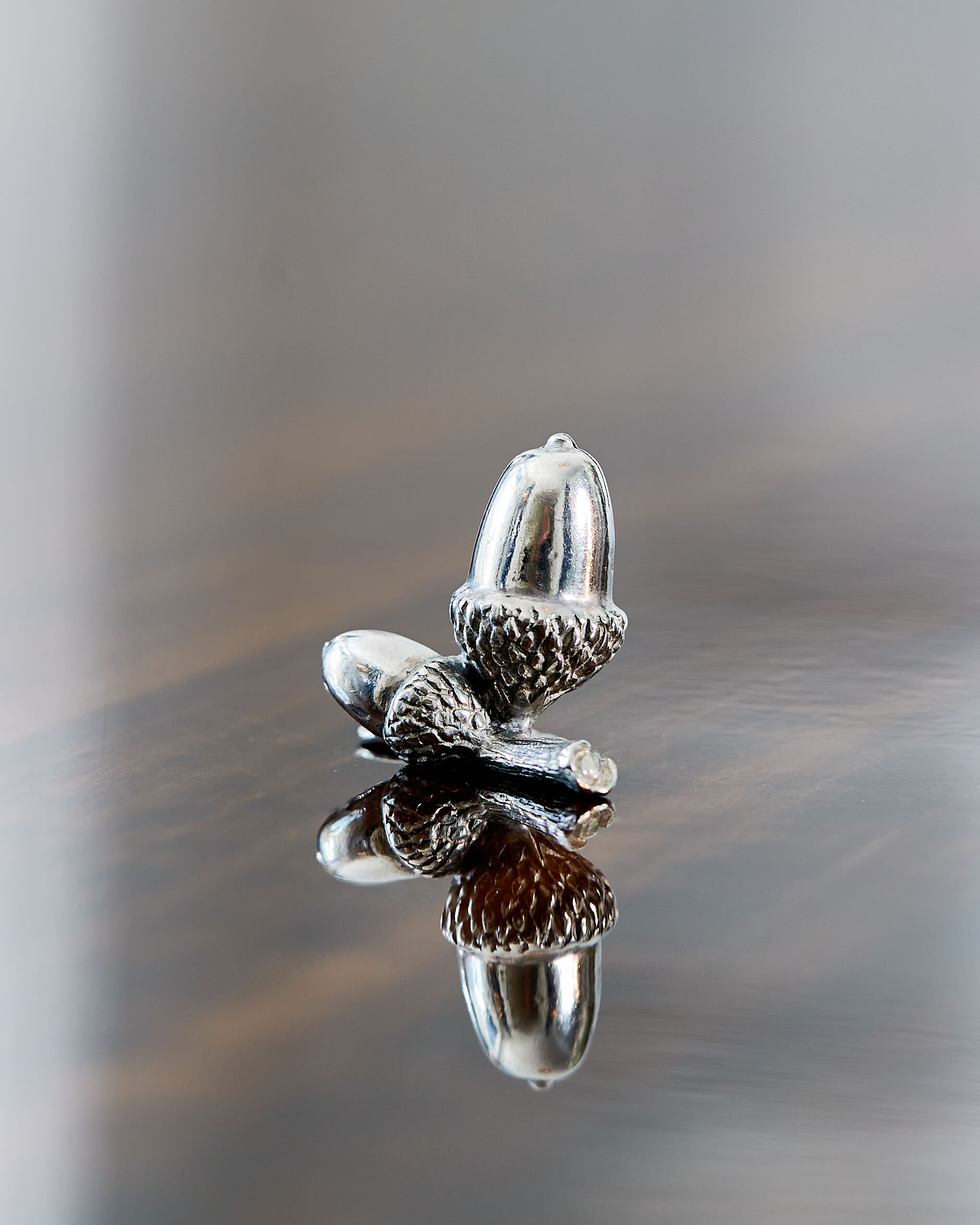 Ekollon placeringskortshållare tenn