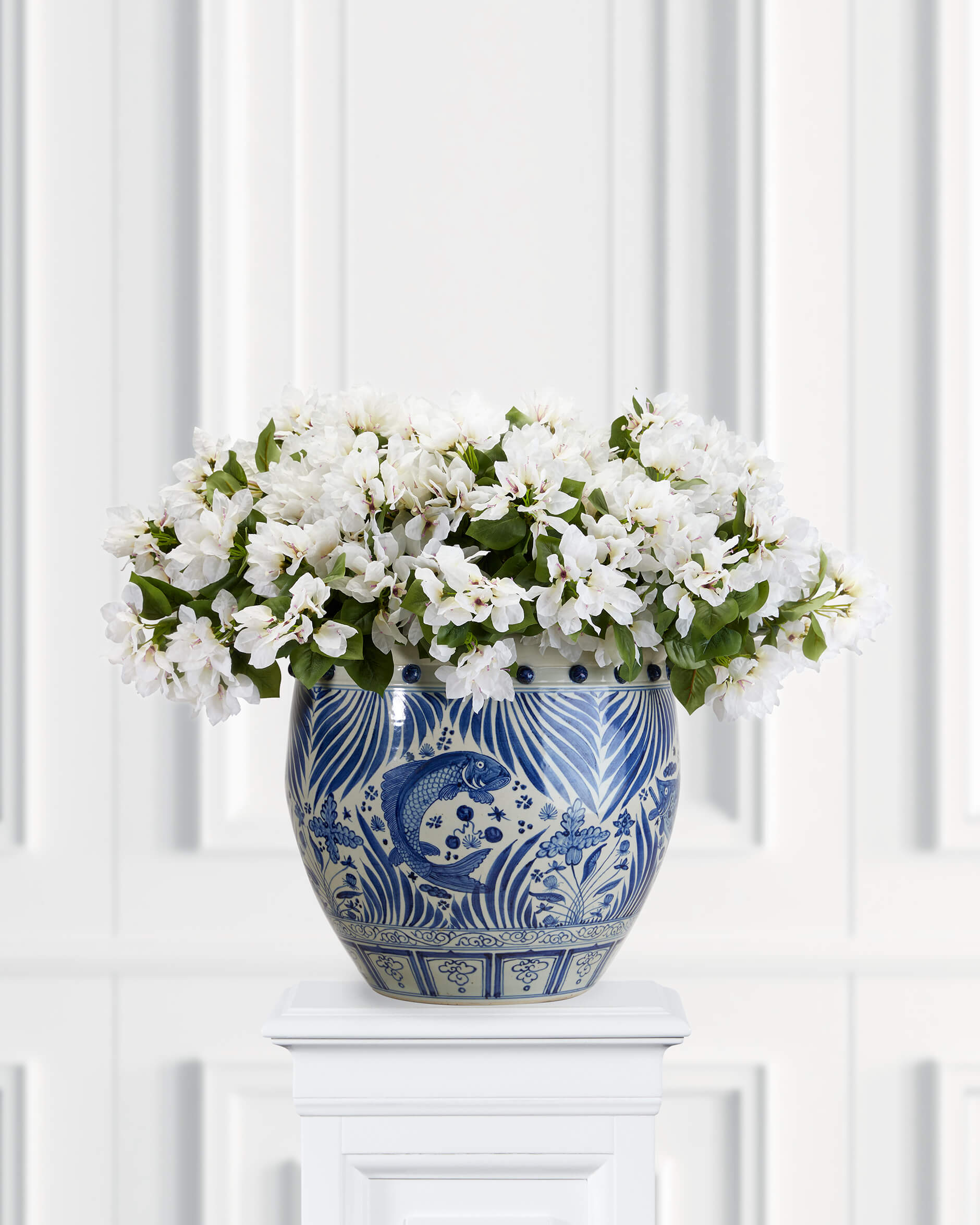 Bougainvillea krukväxt vit