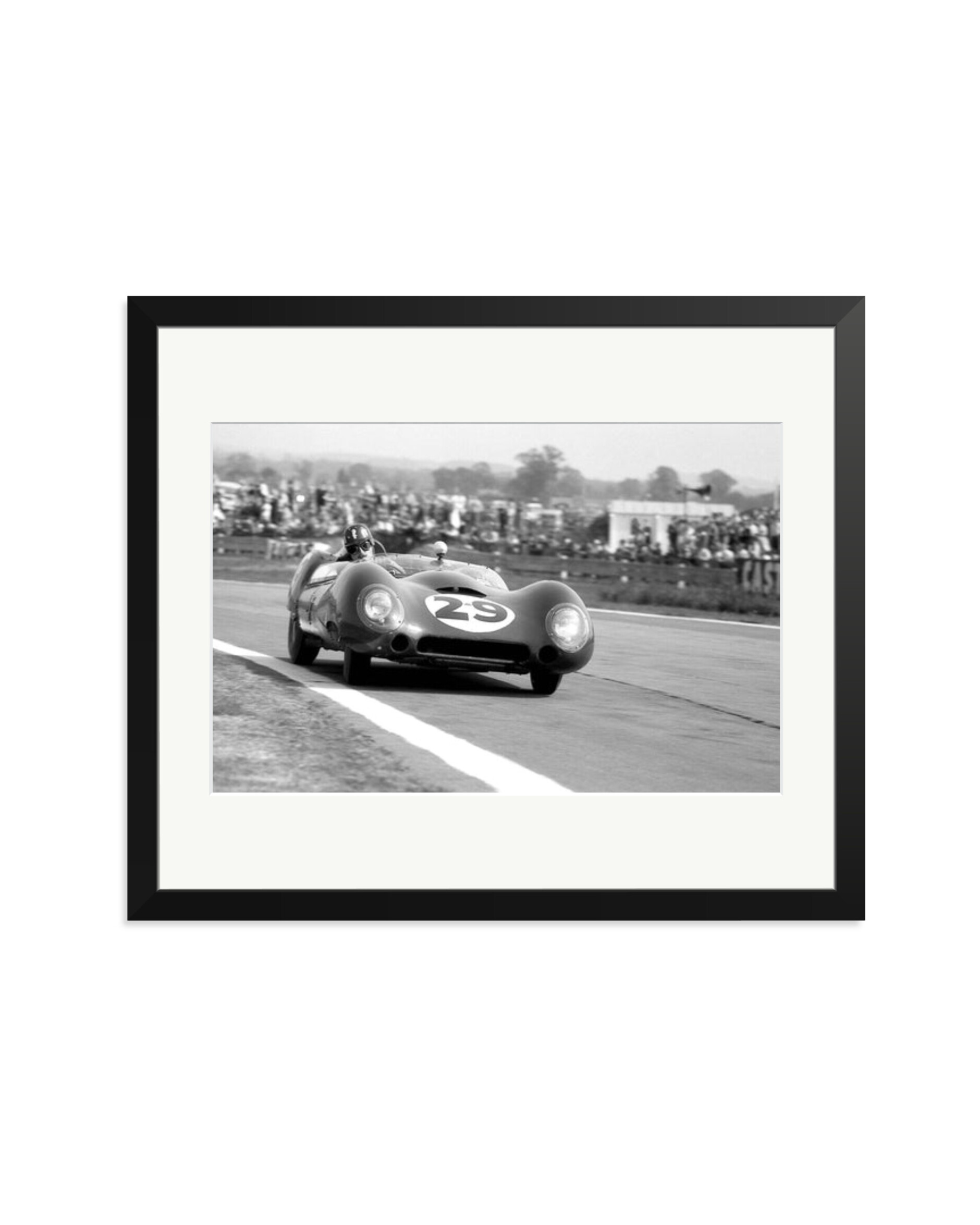 Goodwood Tourist Trophy Black / Large