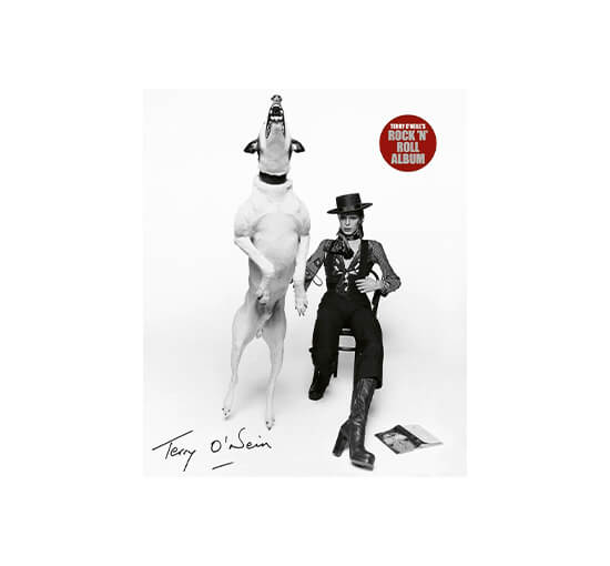 Terry O'Neill's Rock 'n' Roll Album